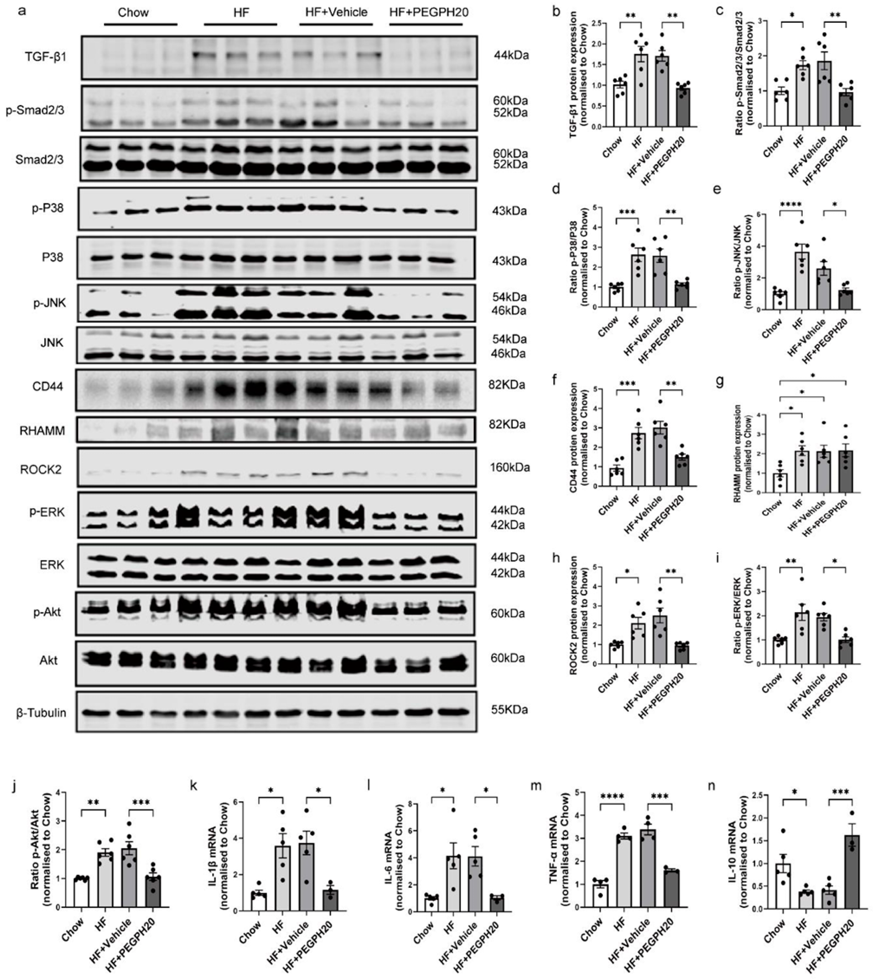 Biomolecules 15 01598 g002