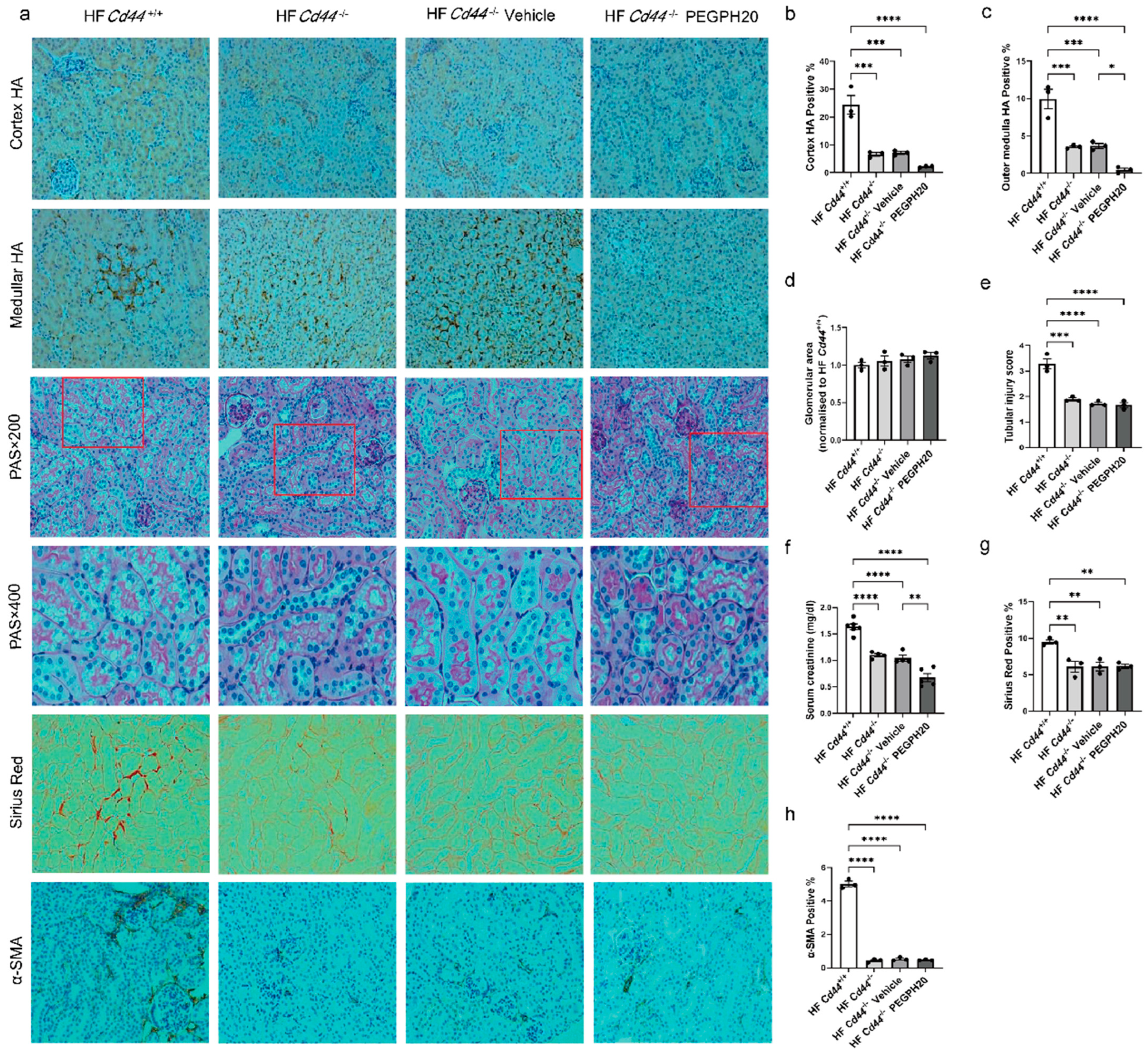 Biomolecules 15 01598 g003