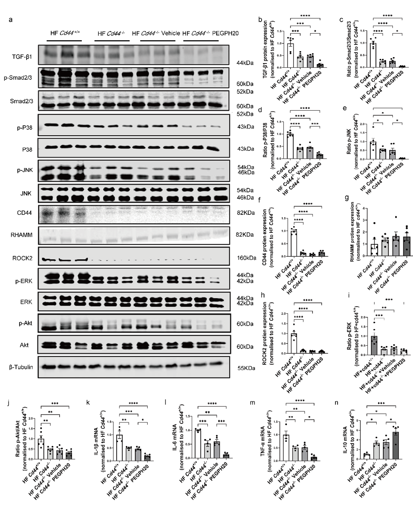 Biomolecules 15 01598 g004