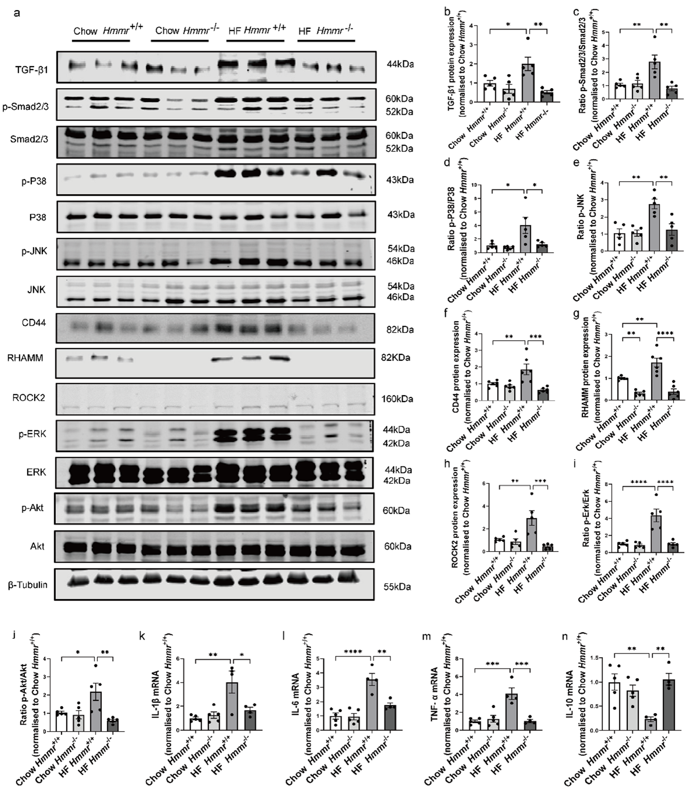 Biomolecules 15 01598 g006