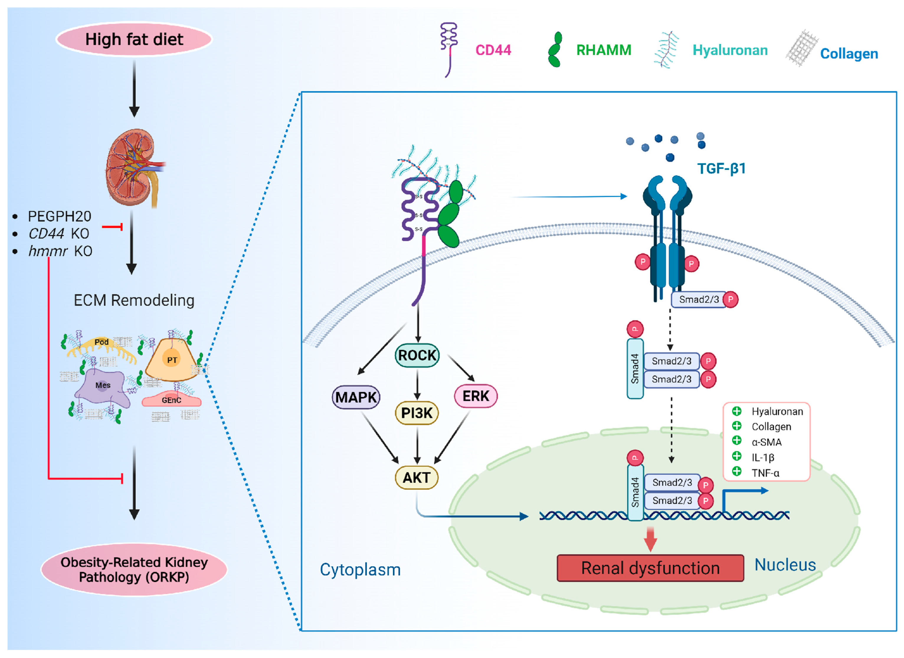 Biomolecules 15 01598 g009