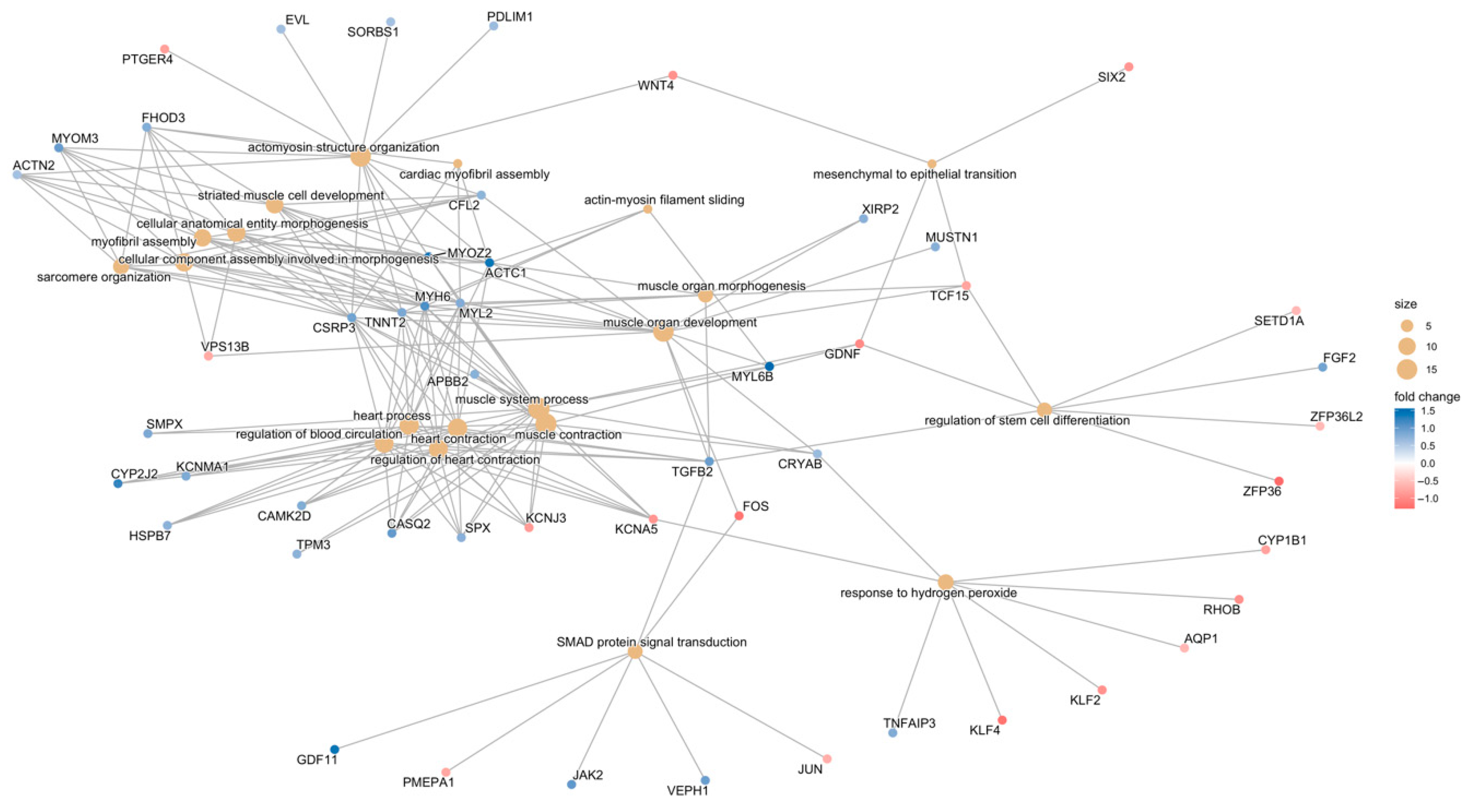 Biomolecules 15 01599 g006