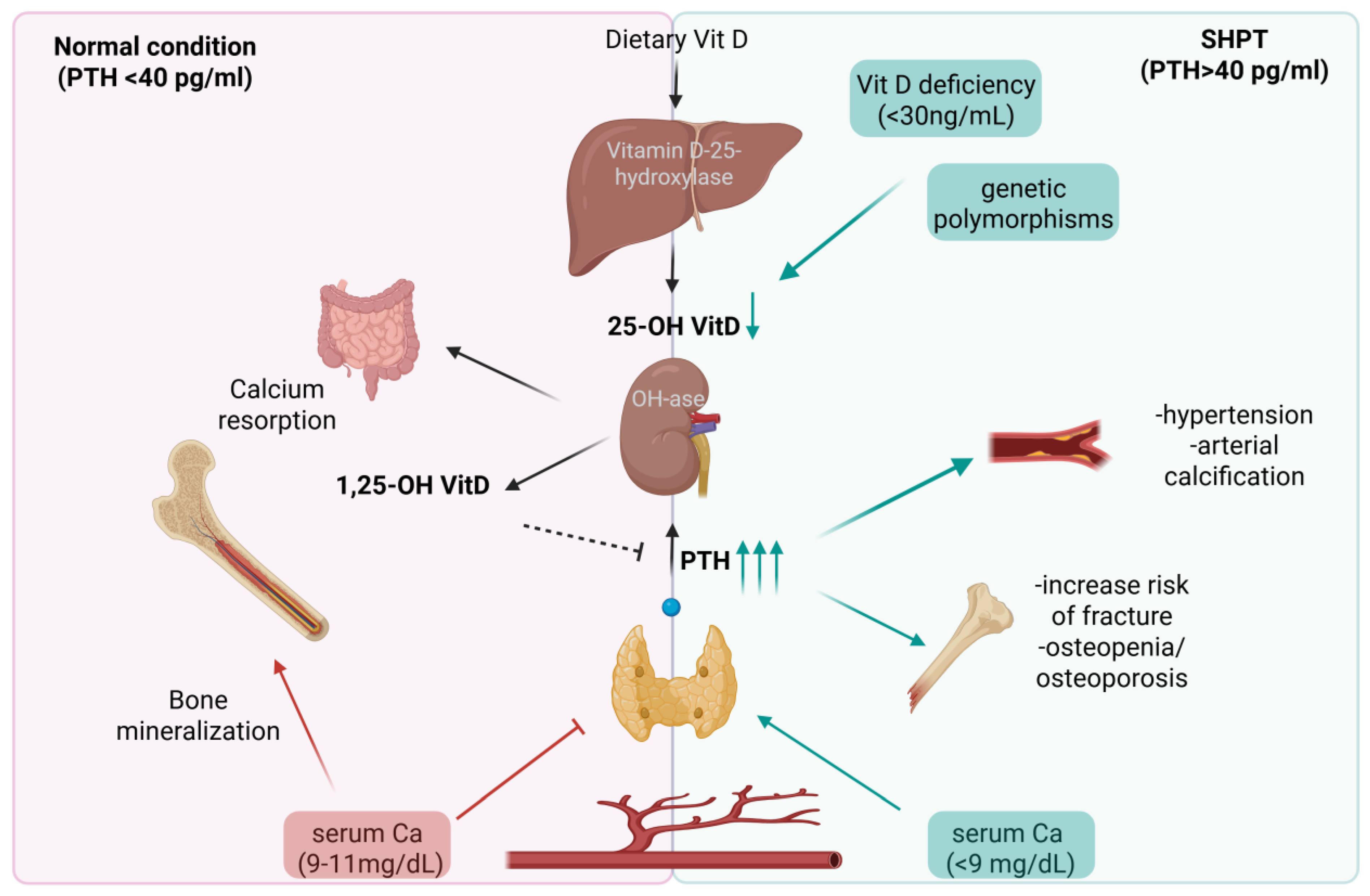 Biomolecules 15 01600 g006
