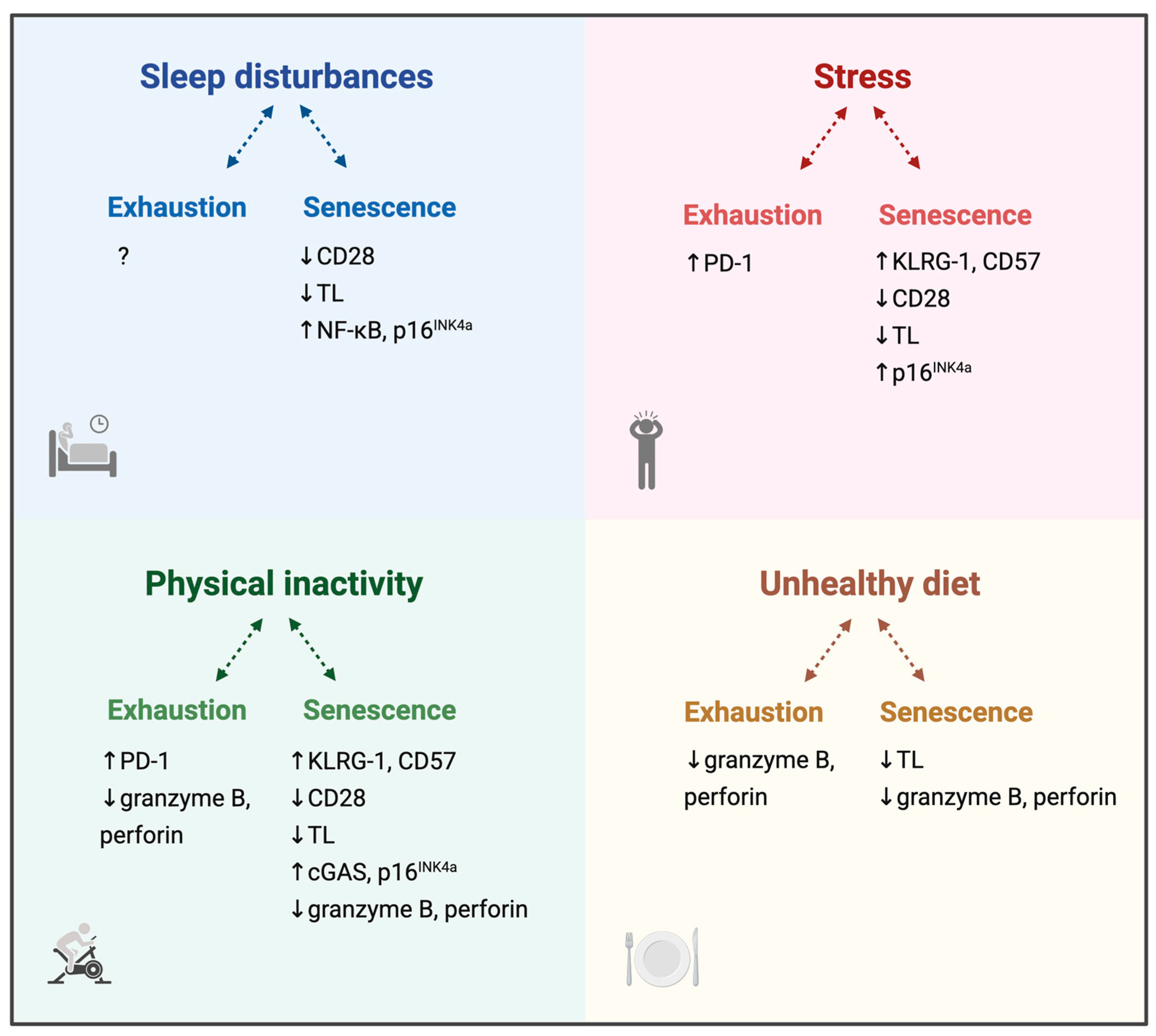 Biomolecules 15 01601 g001 Biomolecules 15 01601 g001