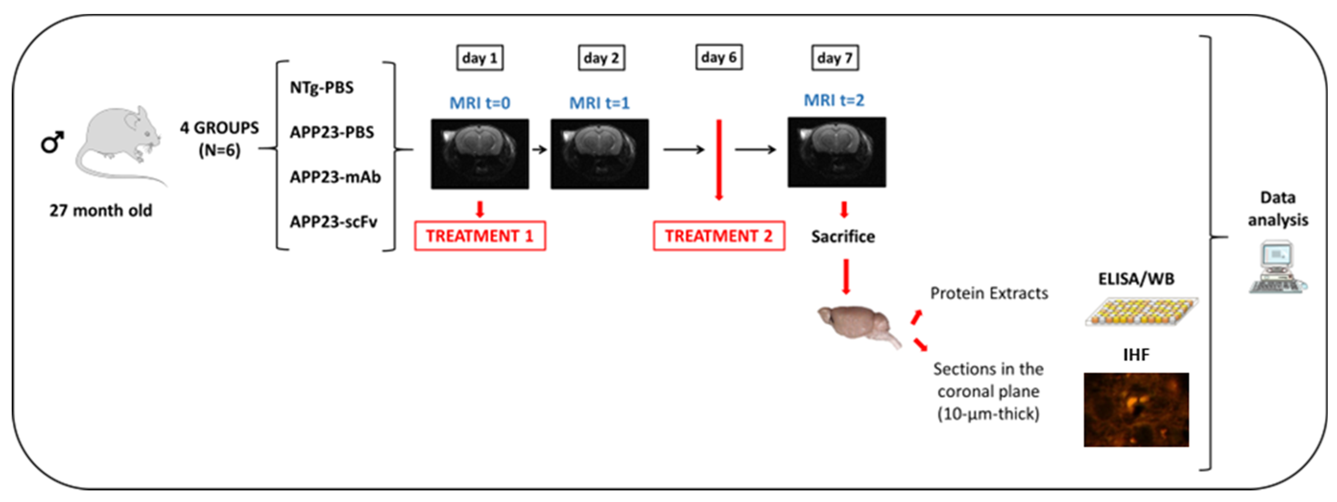 Biomolecules 15 01602 g001 Biomolecules 15 01602 g001