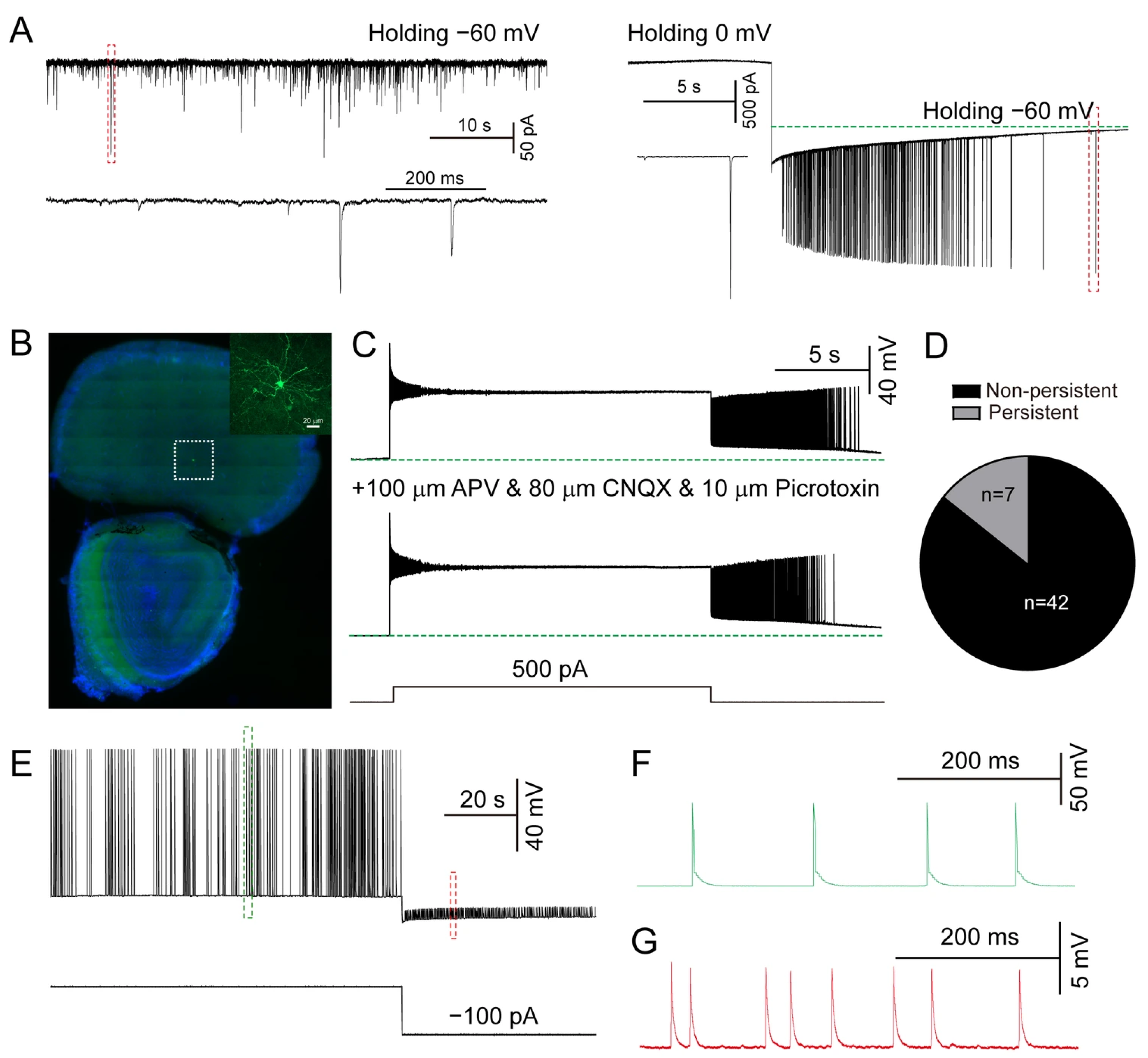Biomolecules 15 01603 g001 Biomolecules 15 01603 g001