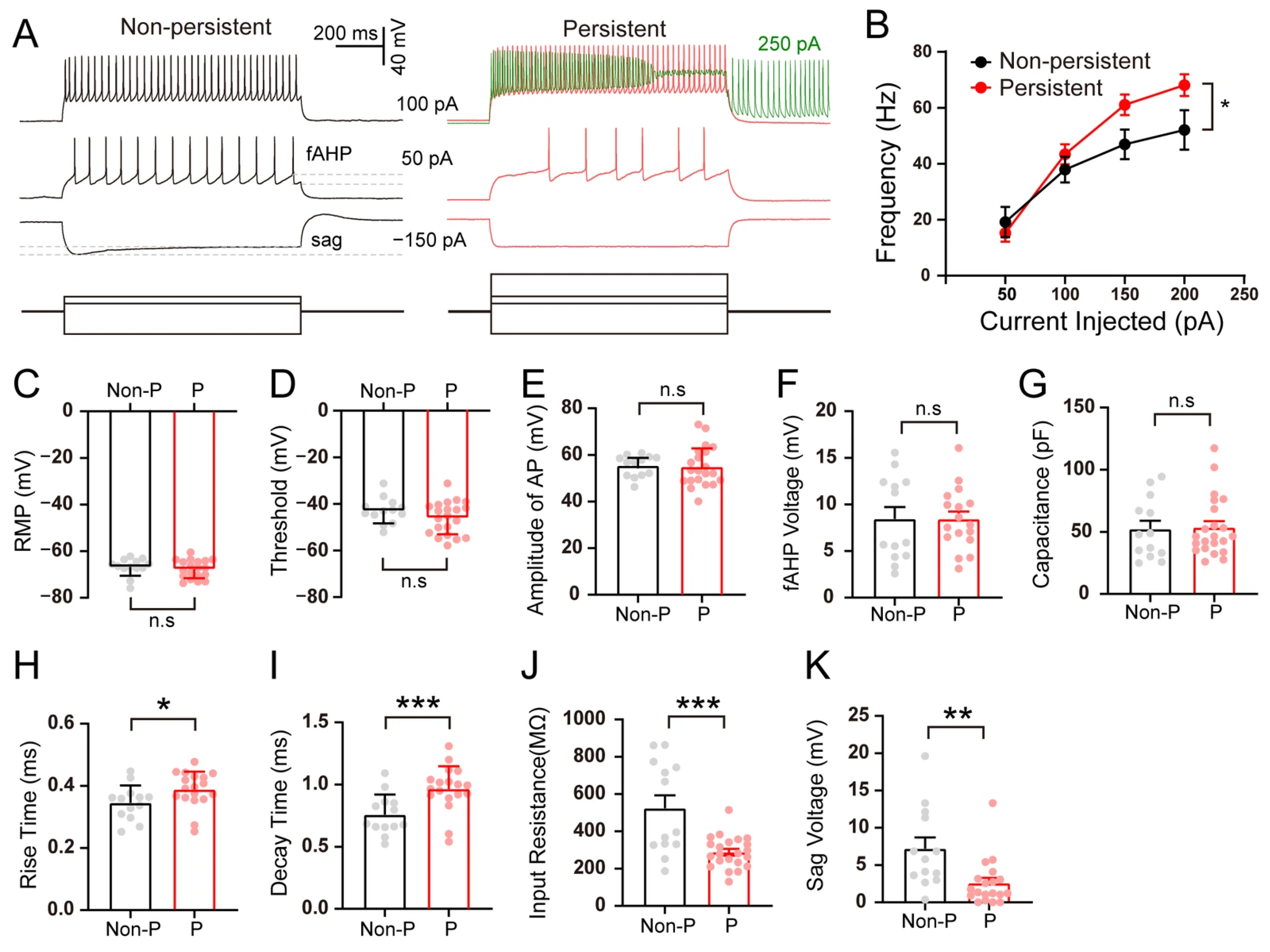 Biomolecules 15 01603 g003 Biomolecules 15 01603 g003