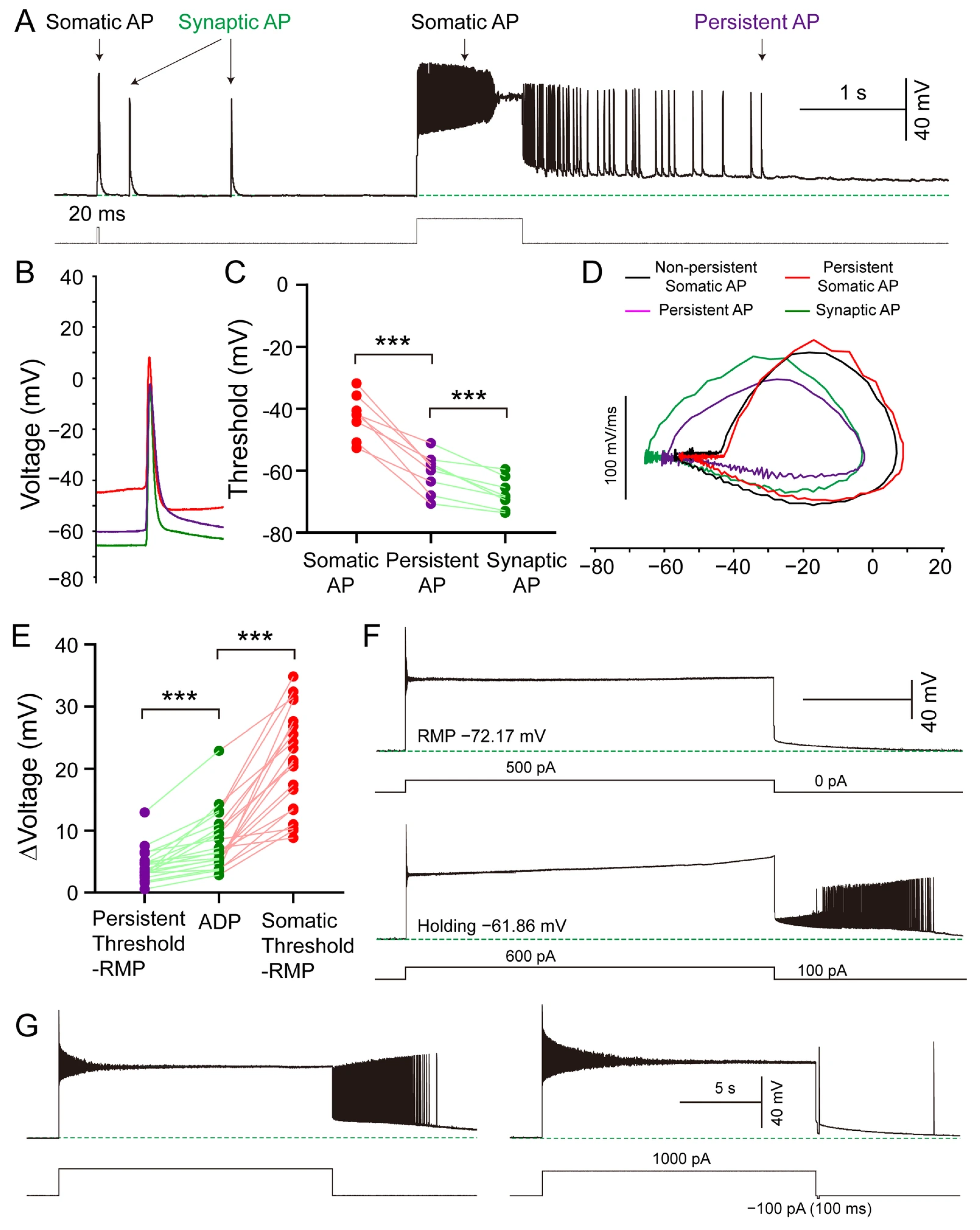 Biomolecules 15 01603 g004 Biomolecules 15 01603 g004