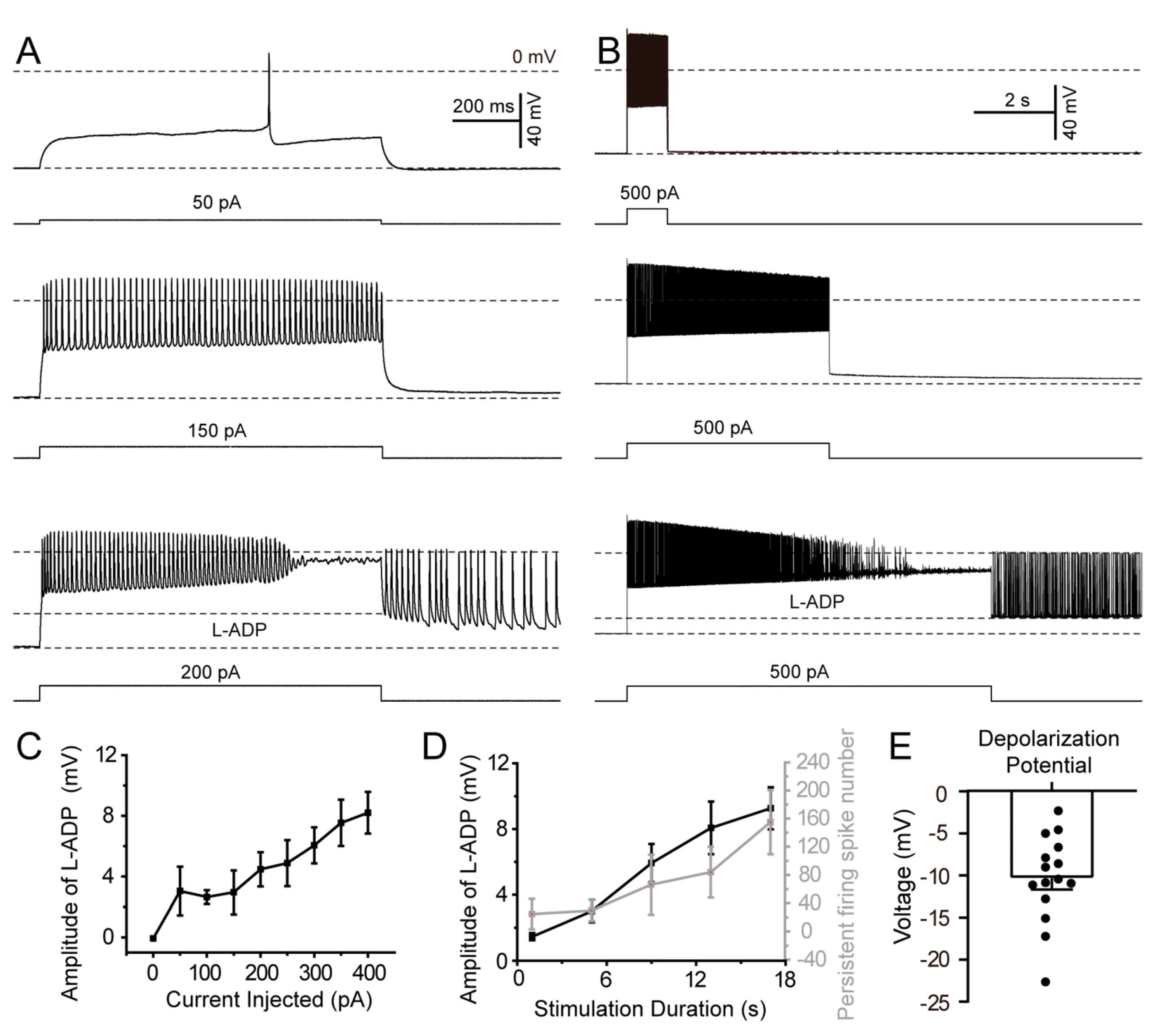 Biomolecules 15 01603 g005 Biomolecules 15 01603 g005
