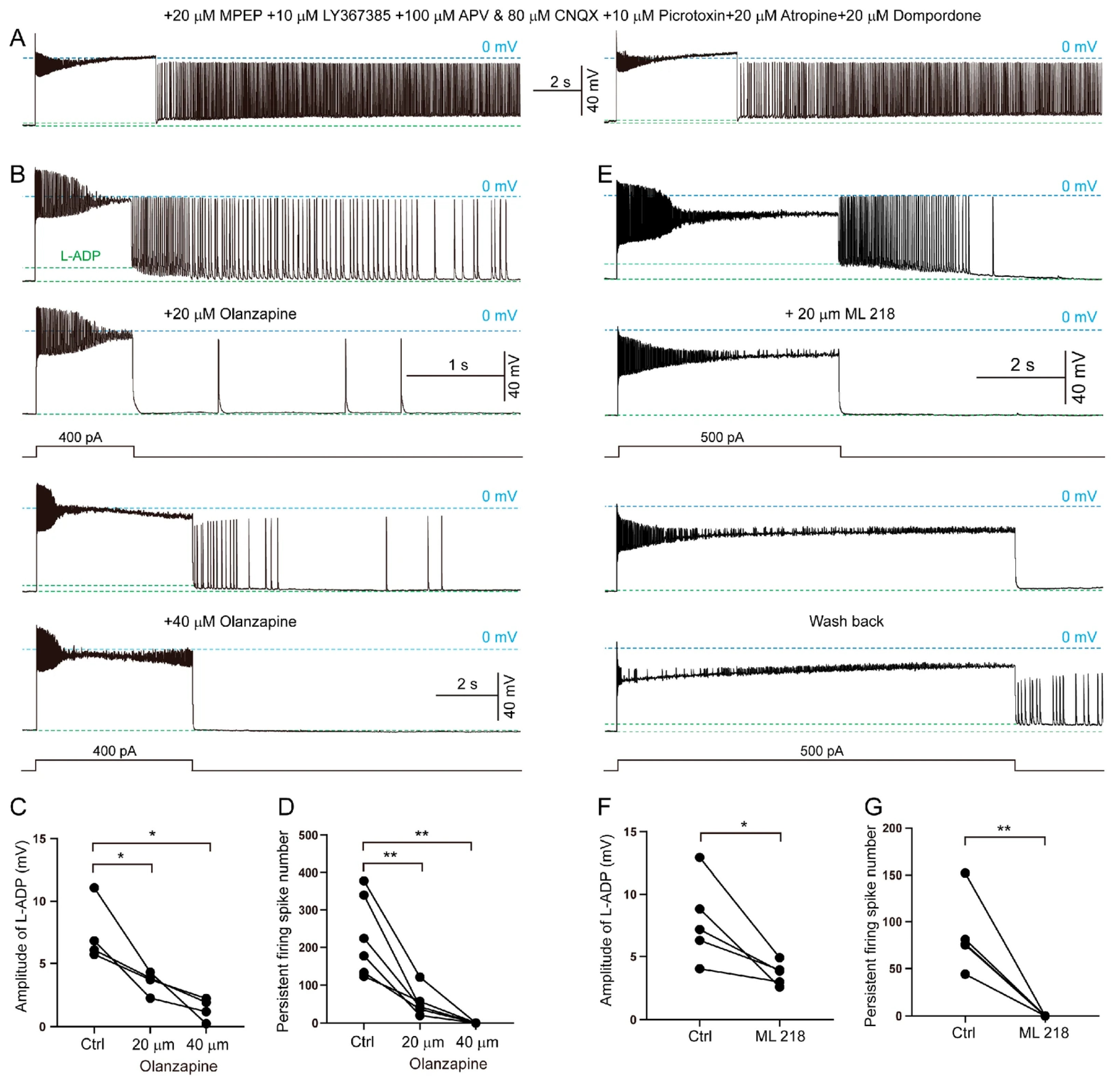 Biomolecules 15 01603 g006 Biomolecules 15 01603 g006
