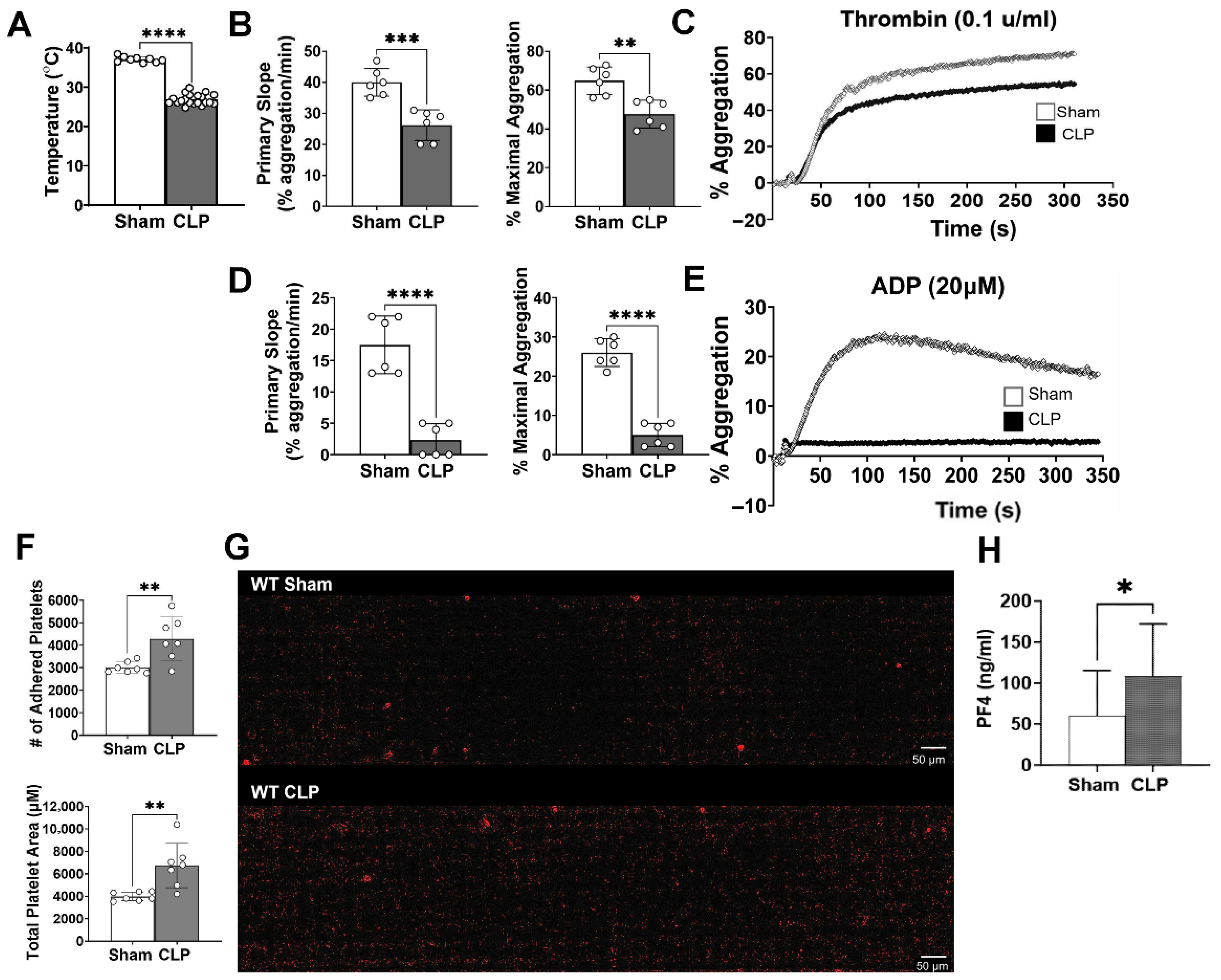 Biomolecules 15 01604 g001