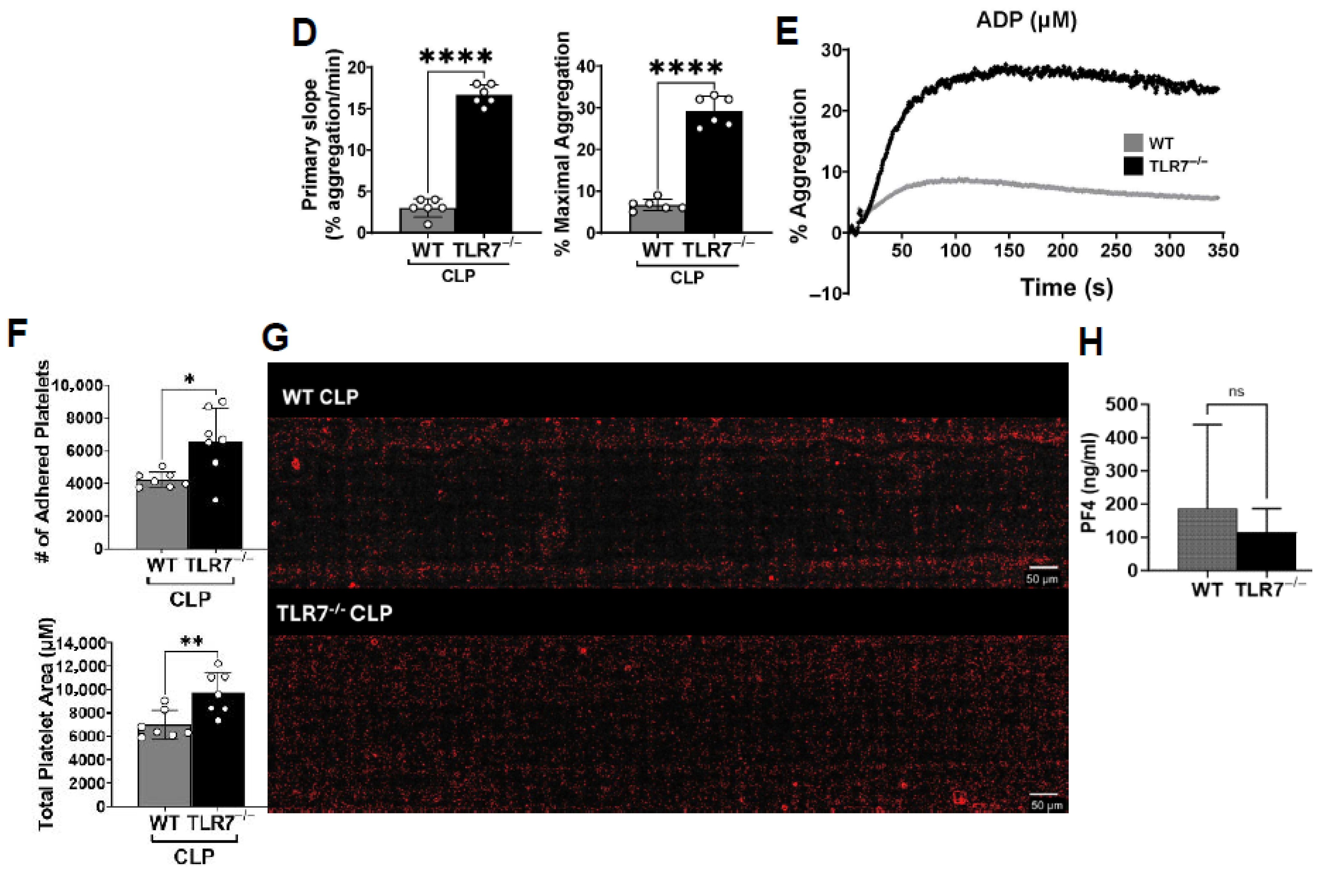 Biomolecules 15 01604 g002b