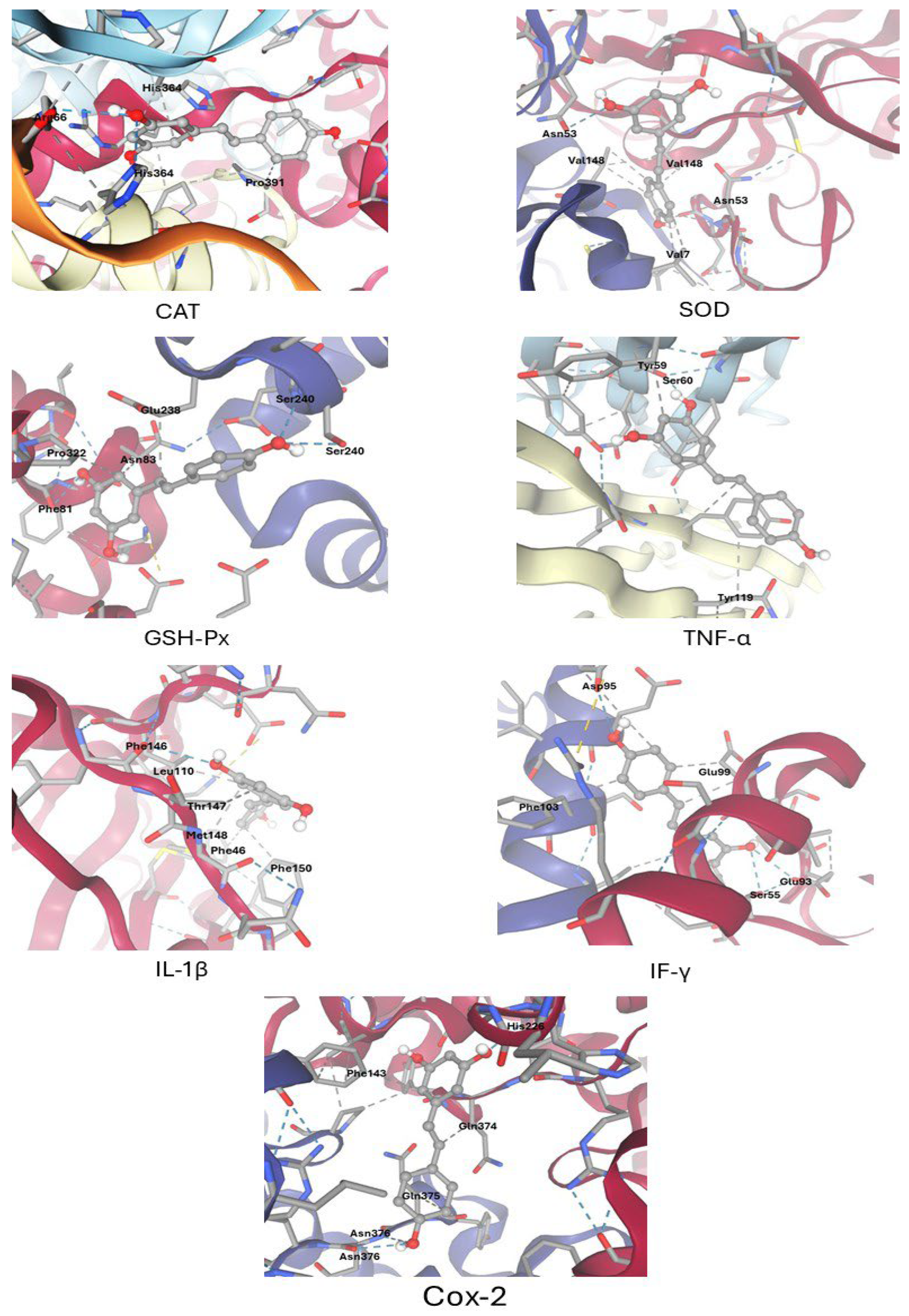 Biomolecules 15 01605 g001