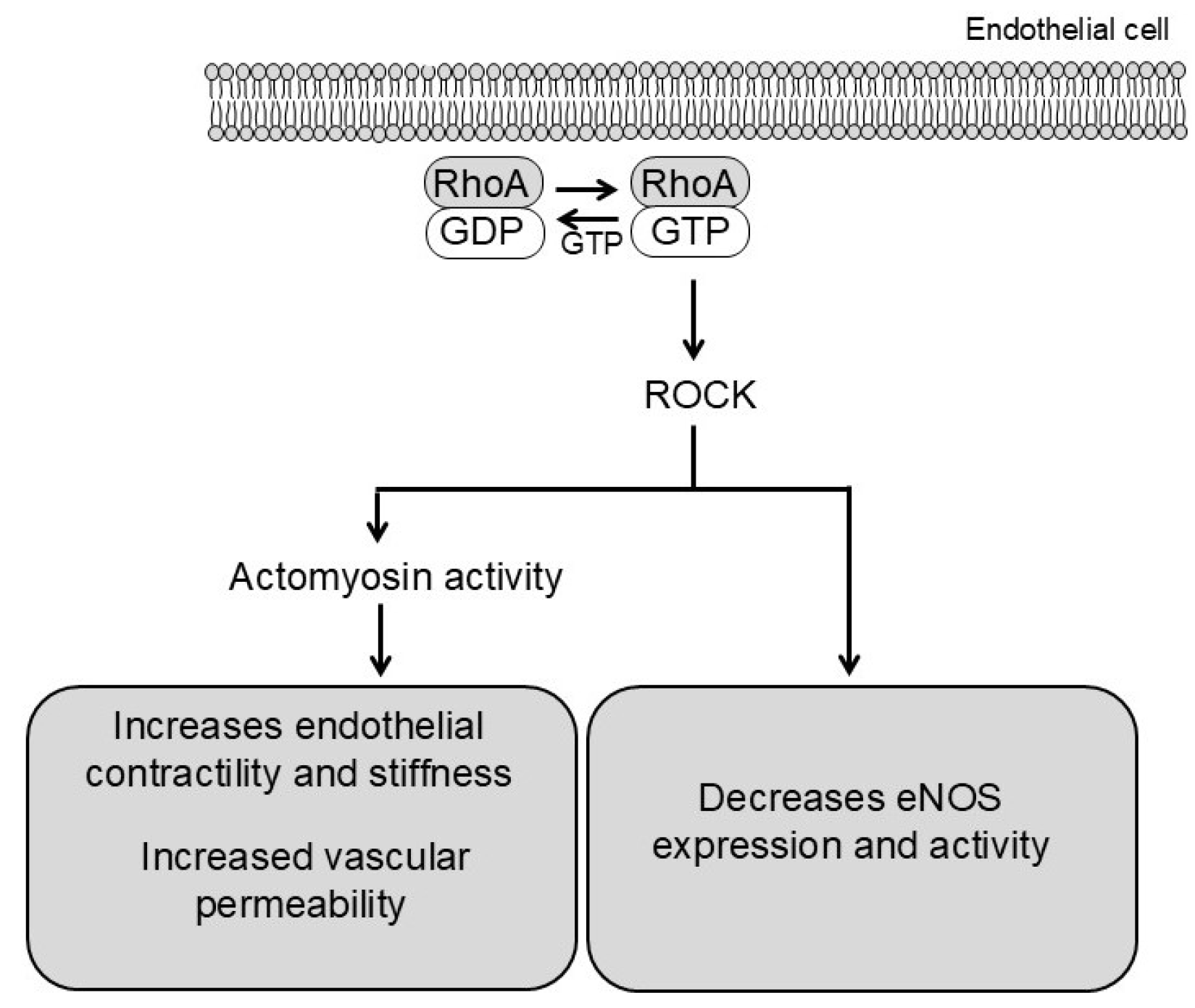 Biomolecules 15 01607 g002
