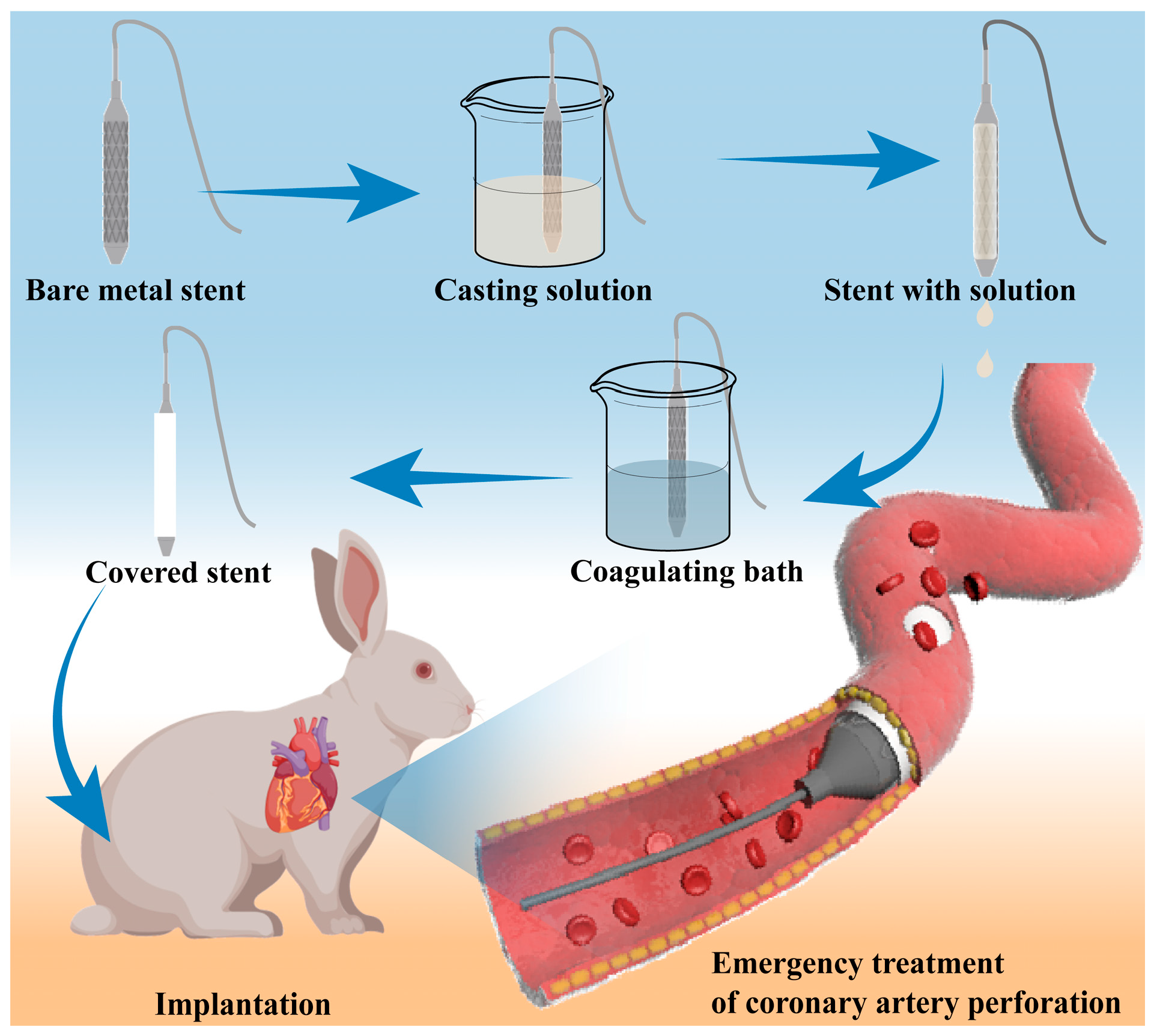 Biomolecules 15 01608 g001