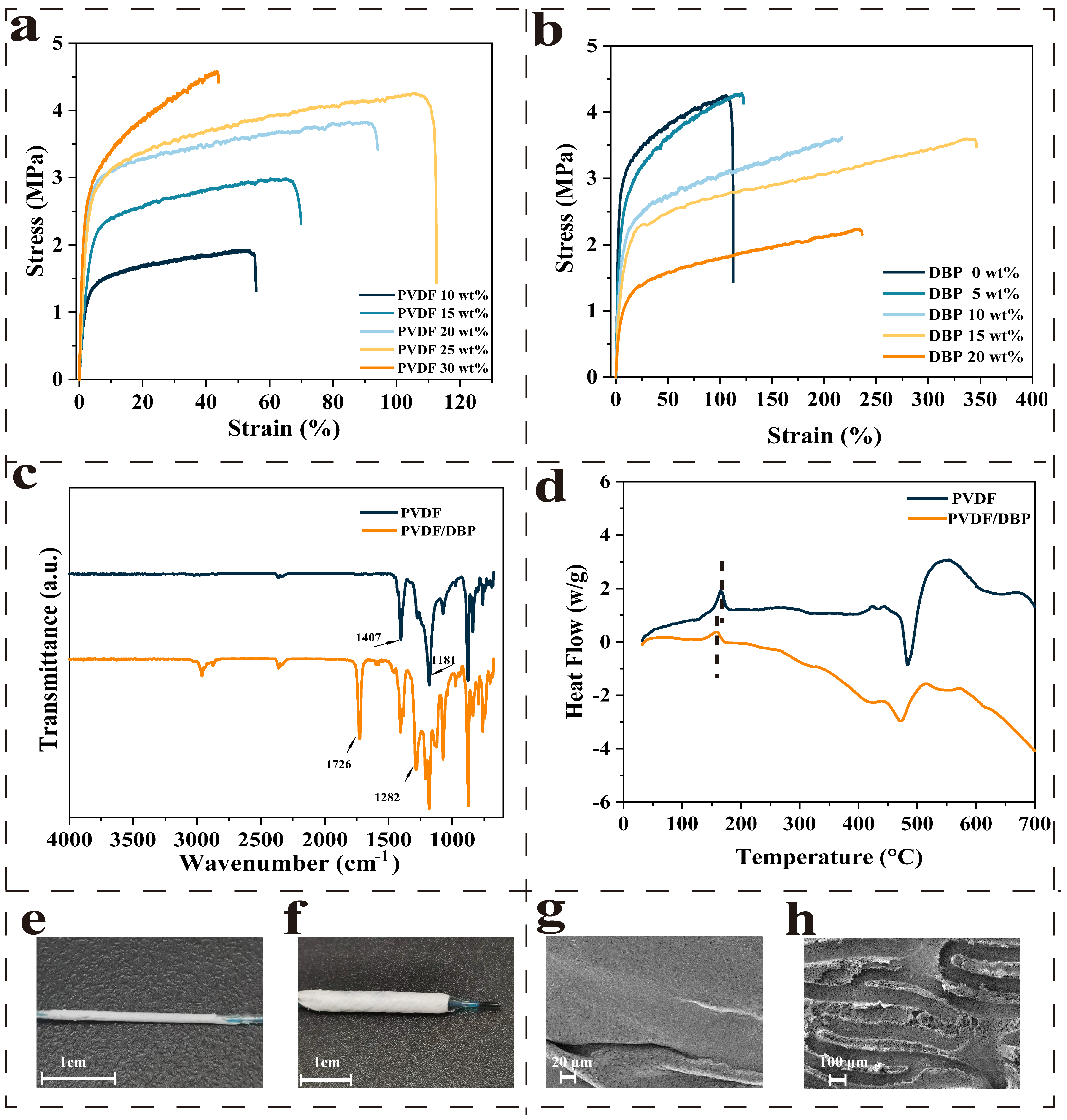 Biomolecules 15 01608 g002