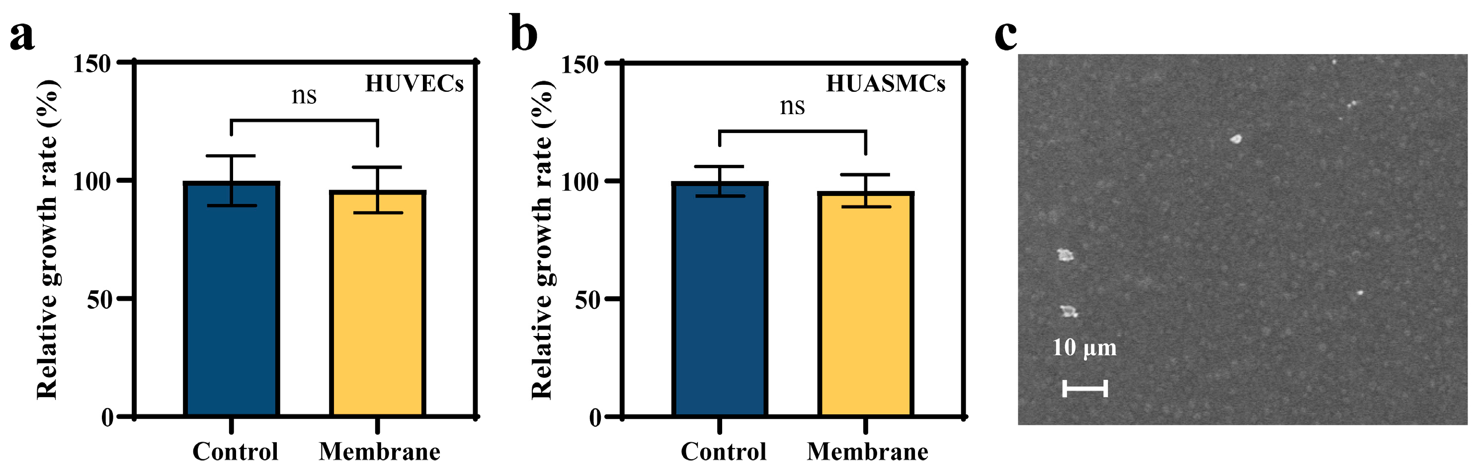 Biomolecules 15 01608 g004