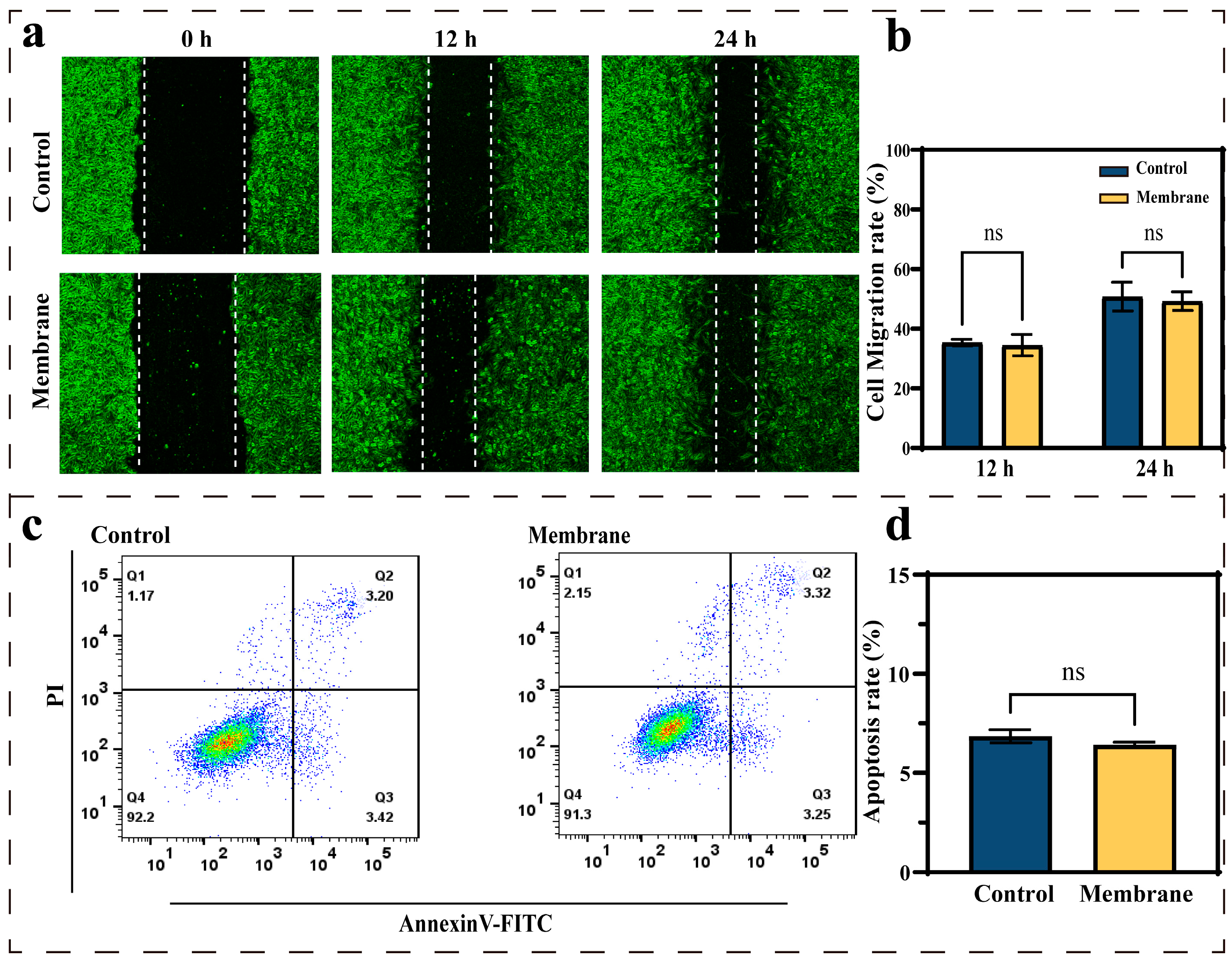 Biomolecules 15 01608 g005