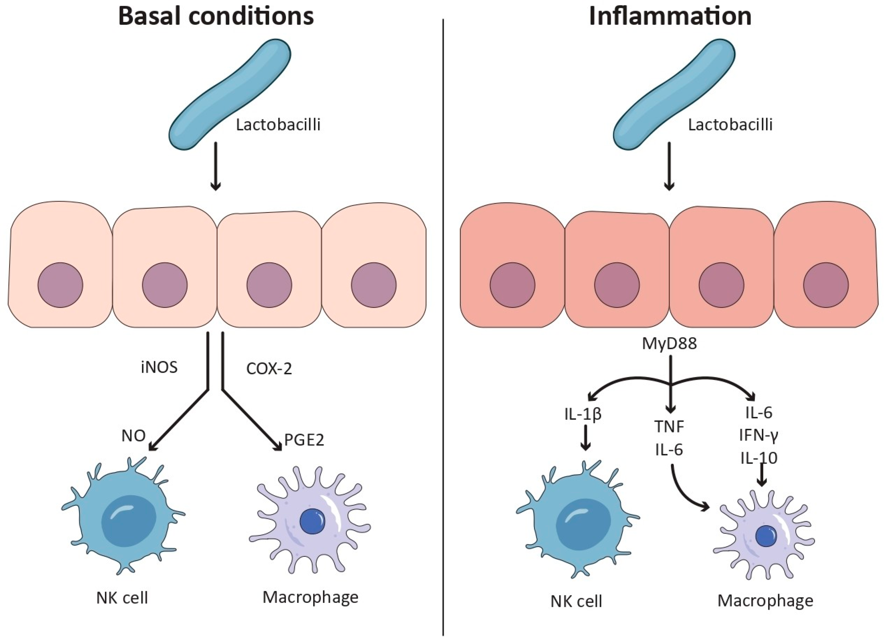 Biomolecules 15 01609 g001