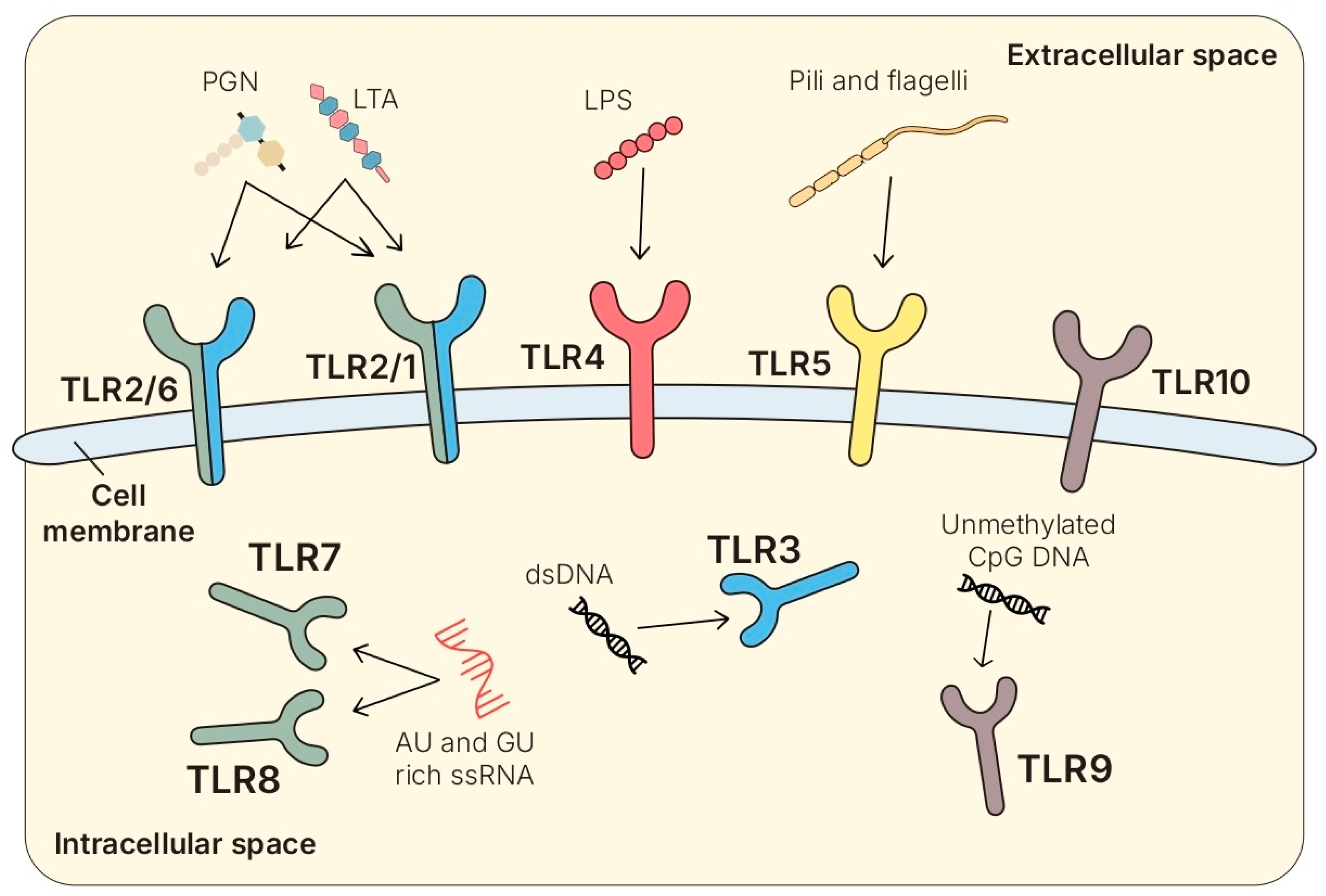 Biomolecules 15 01609 g002