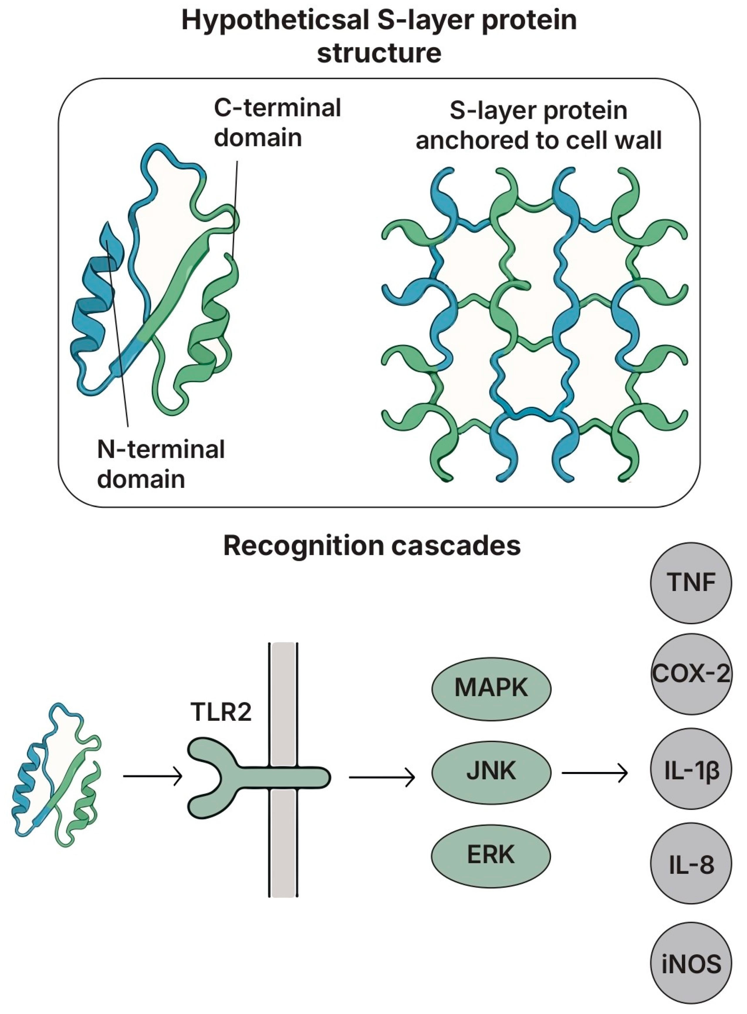 Biomolecules 15 01609 g006