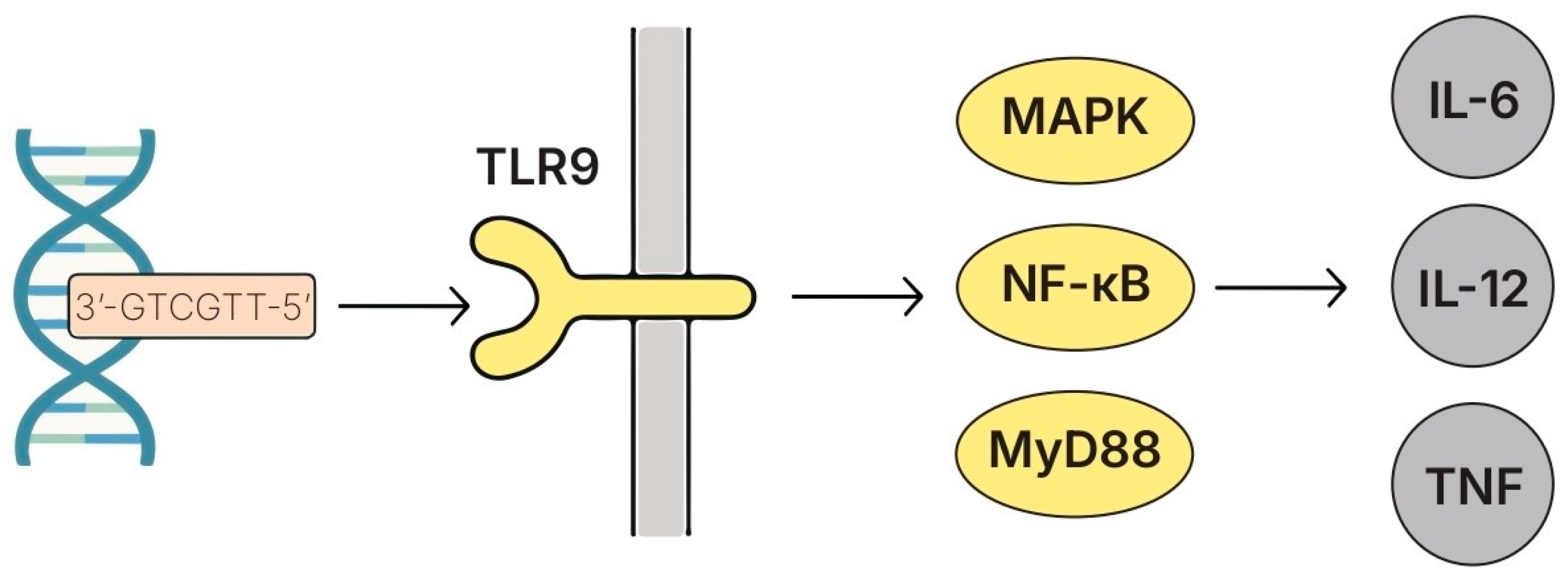 Biomolecules 15 01609 g008