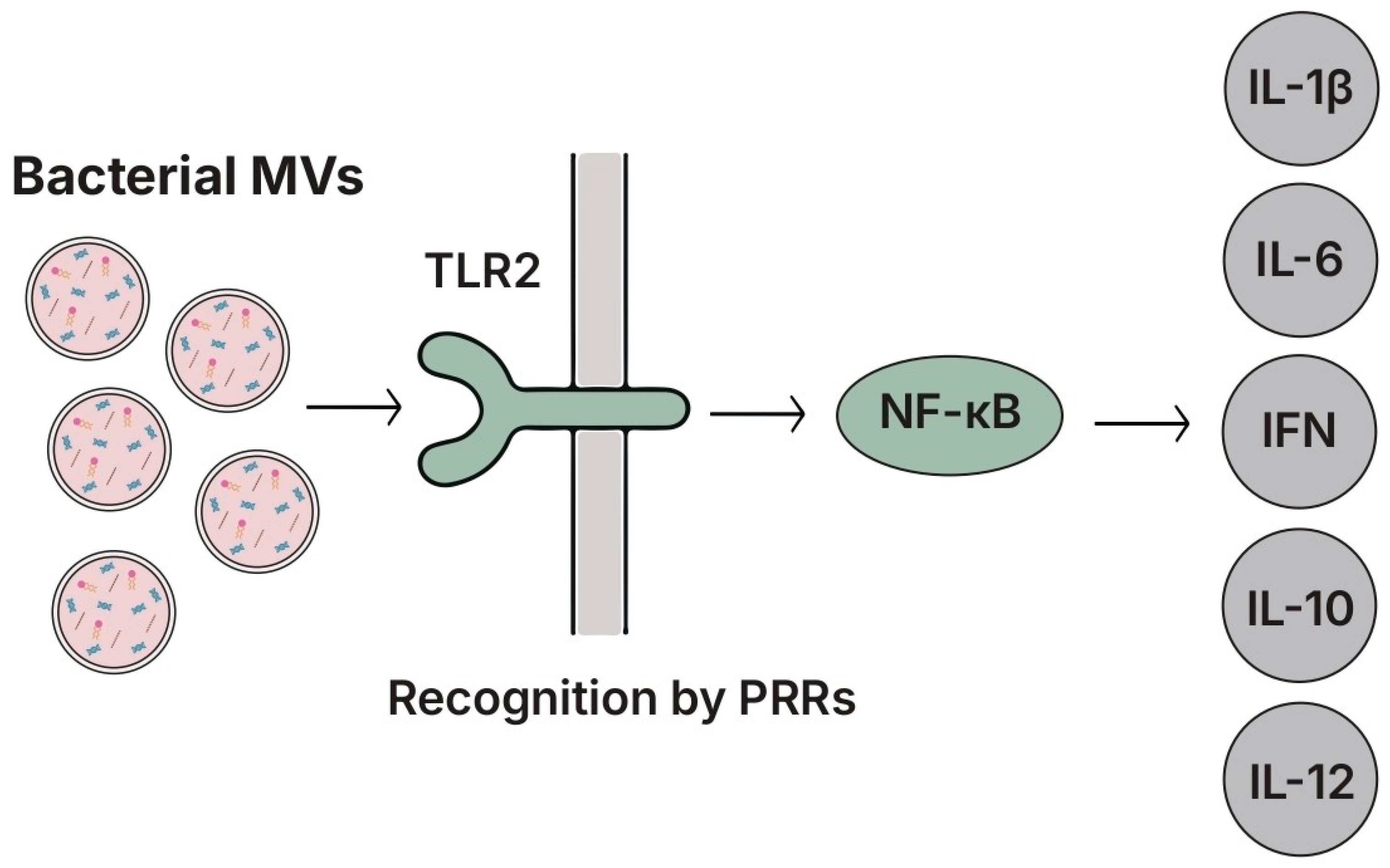 Biomolecules 15 01609 g009