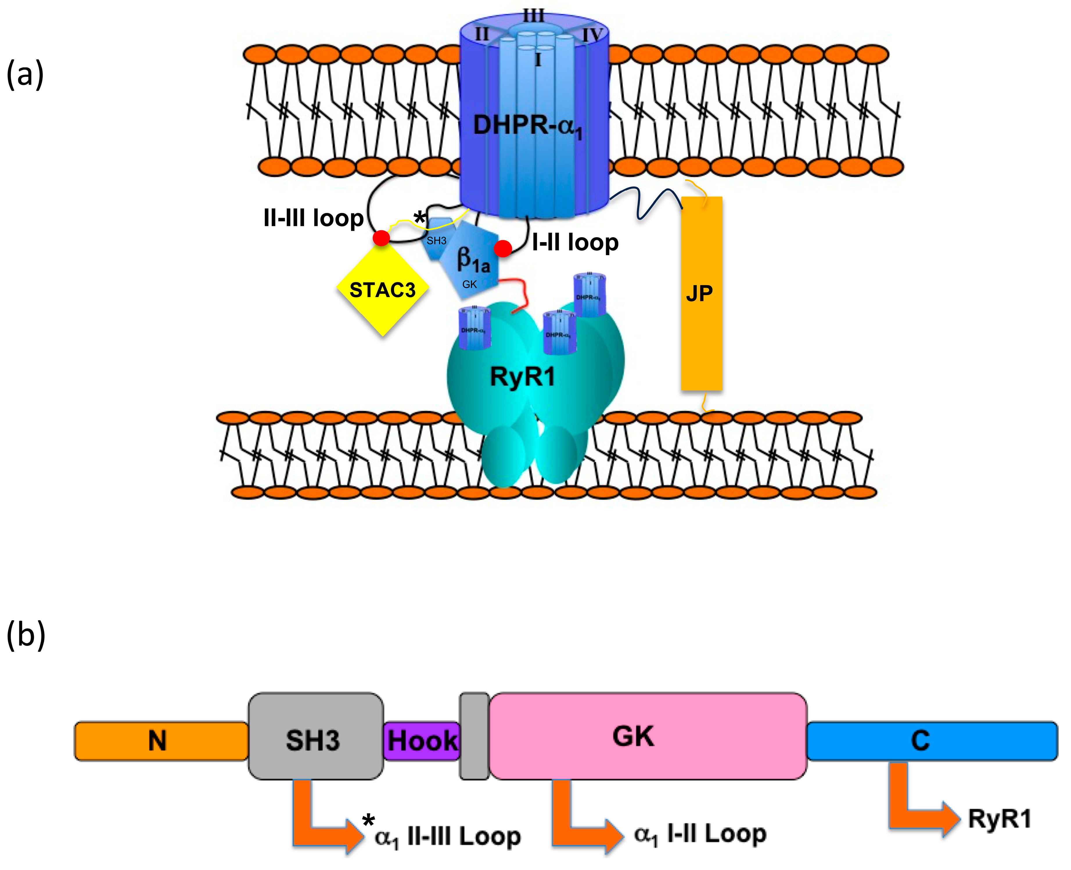 Biomolecules 15 01610 g001