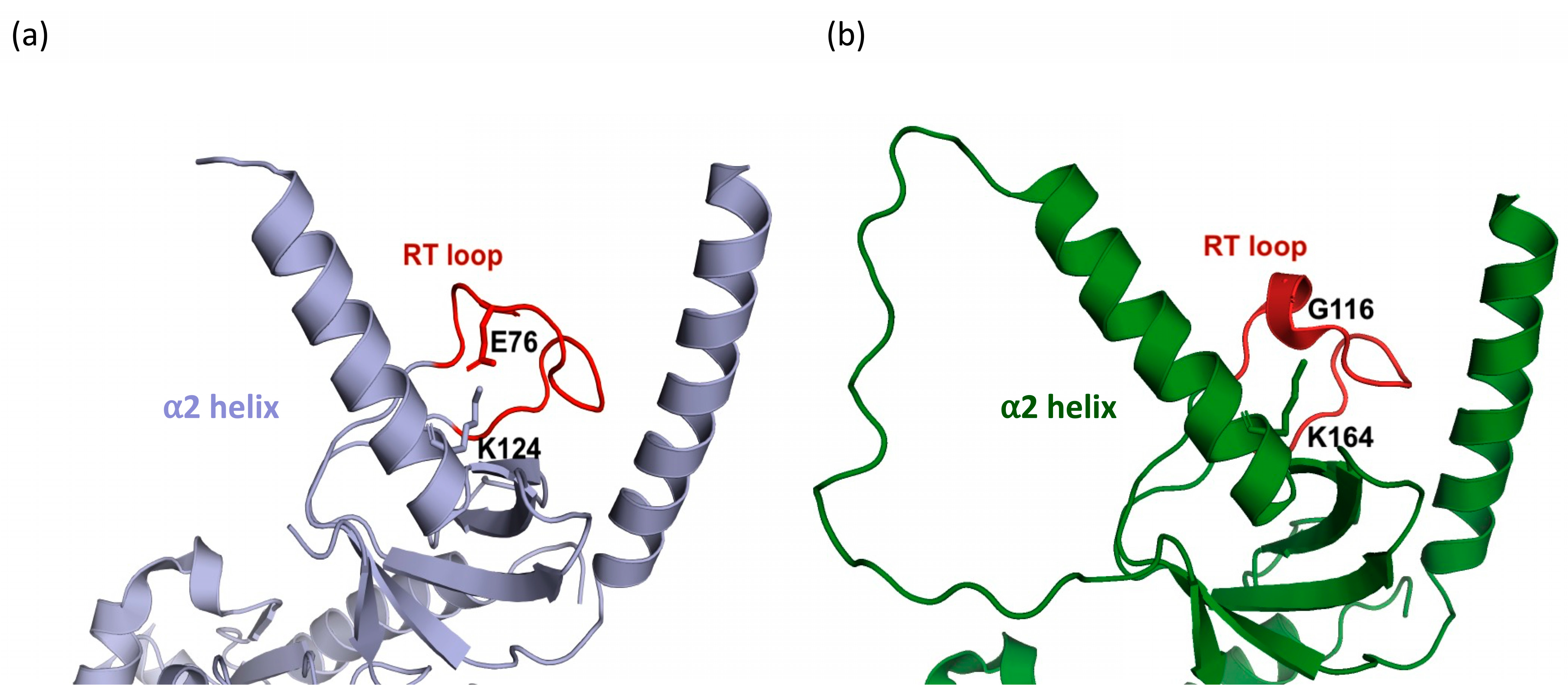 Biomolecules 15 01610 g004