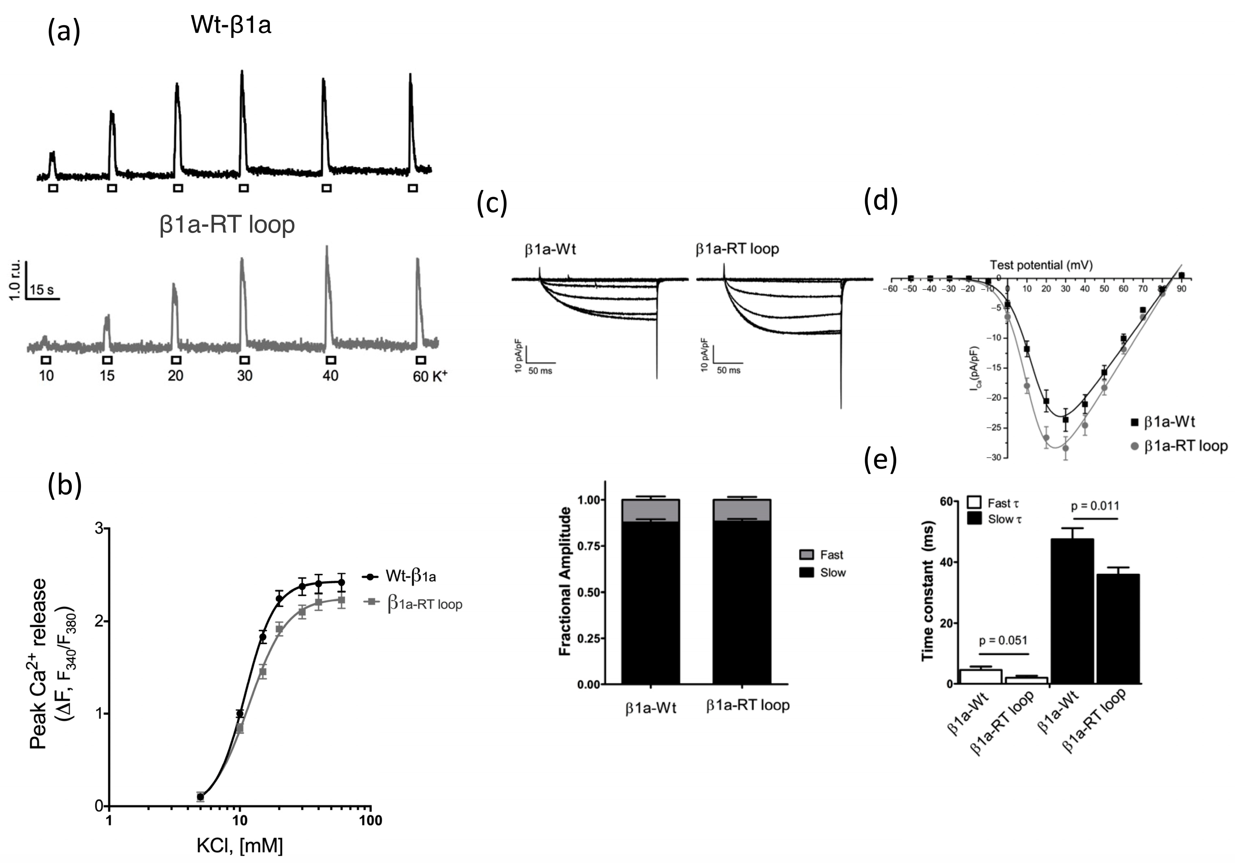 Biomolecules 15 01610 g005