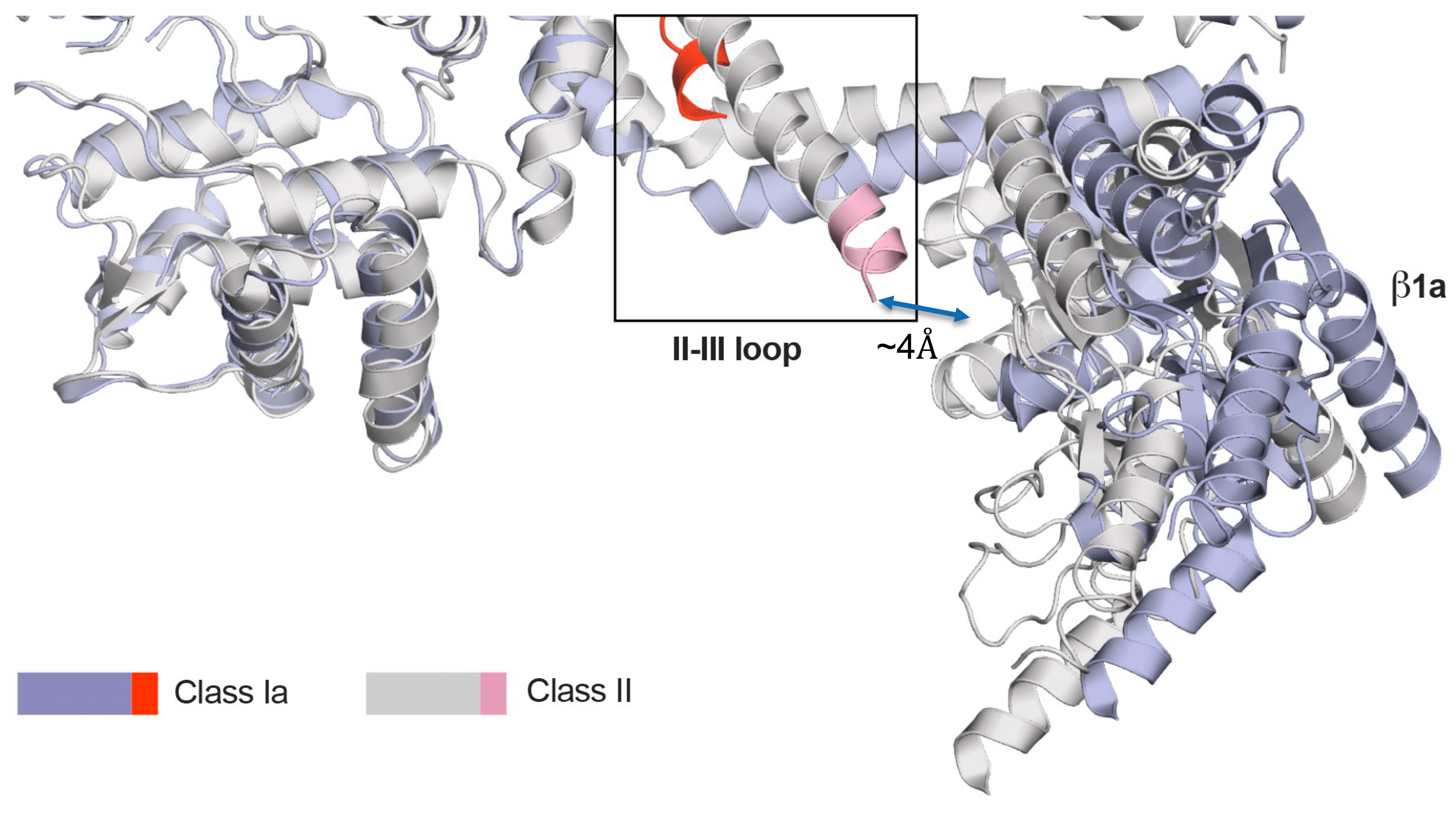 Biomolecules 15 01610 g007