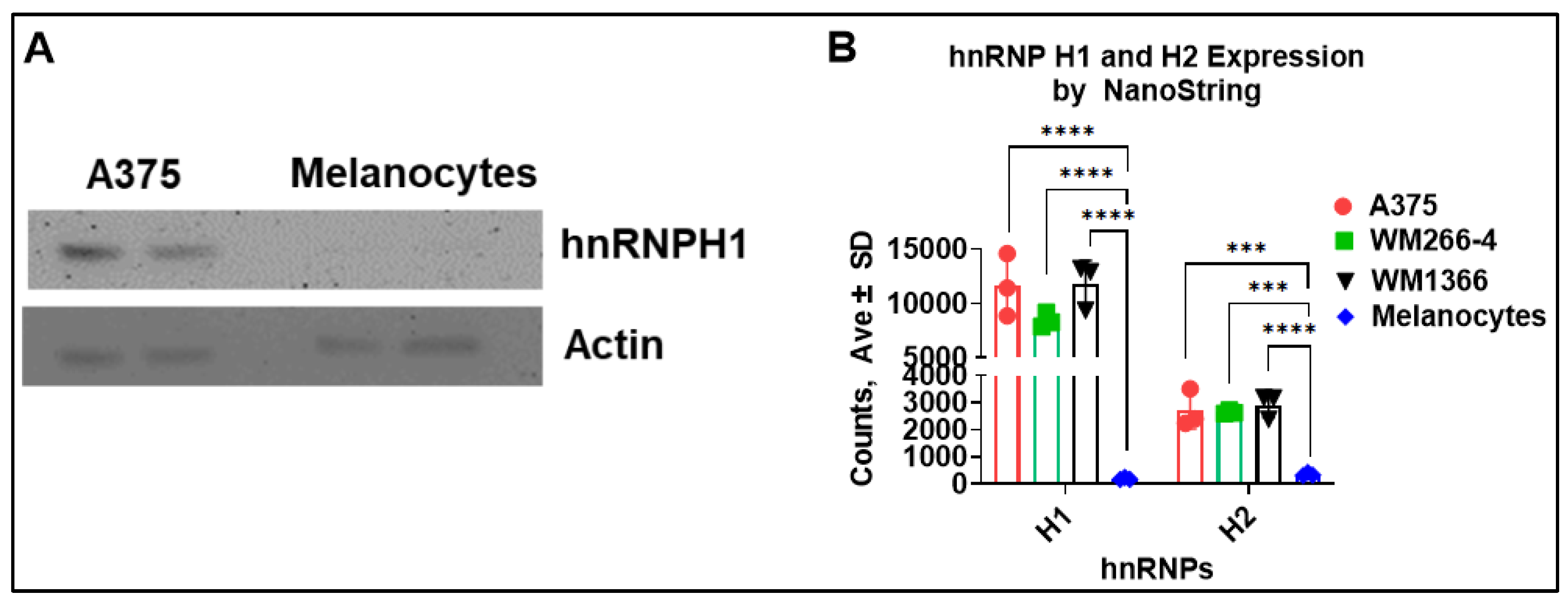 Biomolecules 15 01611 g002