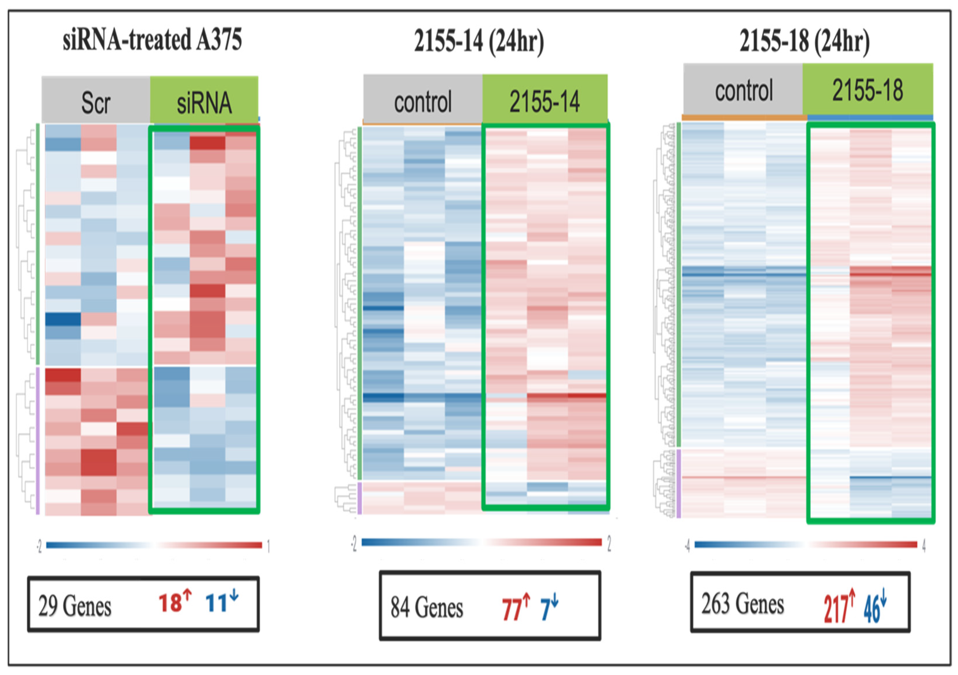 Biomolecules 15 01611 g005