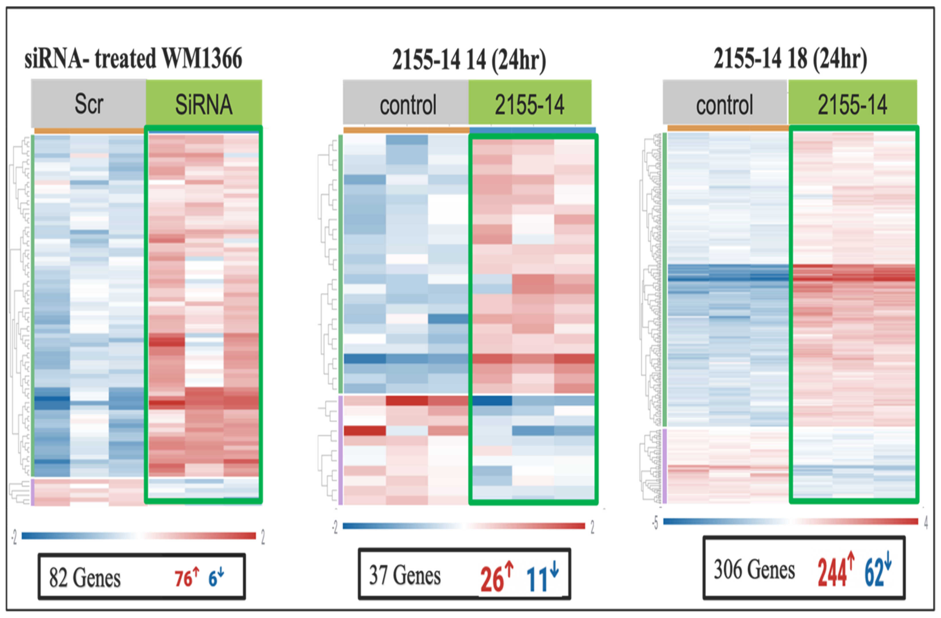 Biomolecules 15 01611 g006