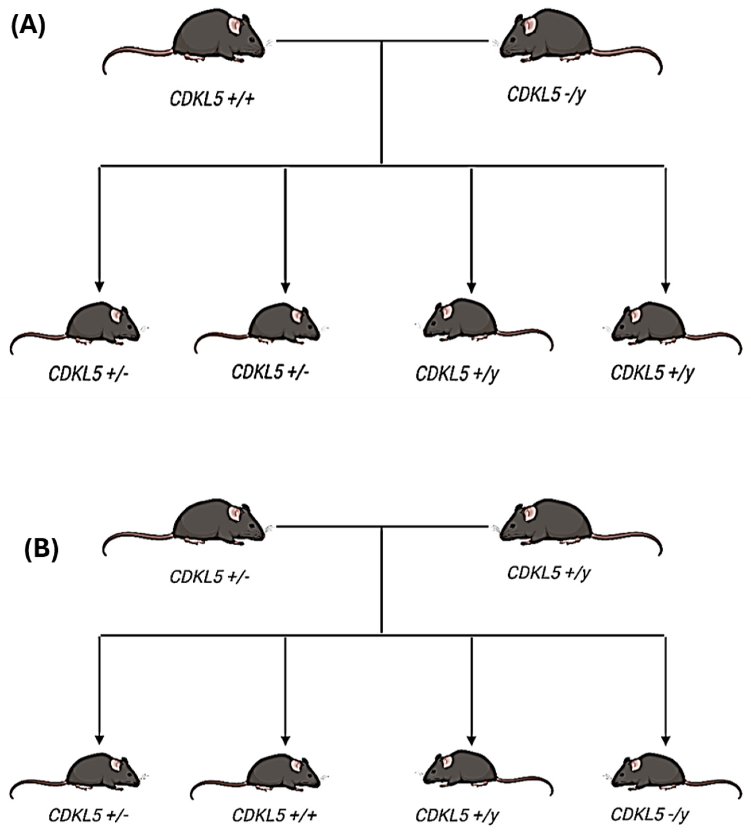 Biomolecules 15 01612 g001