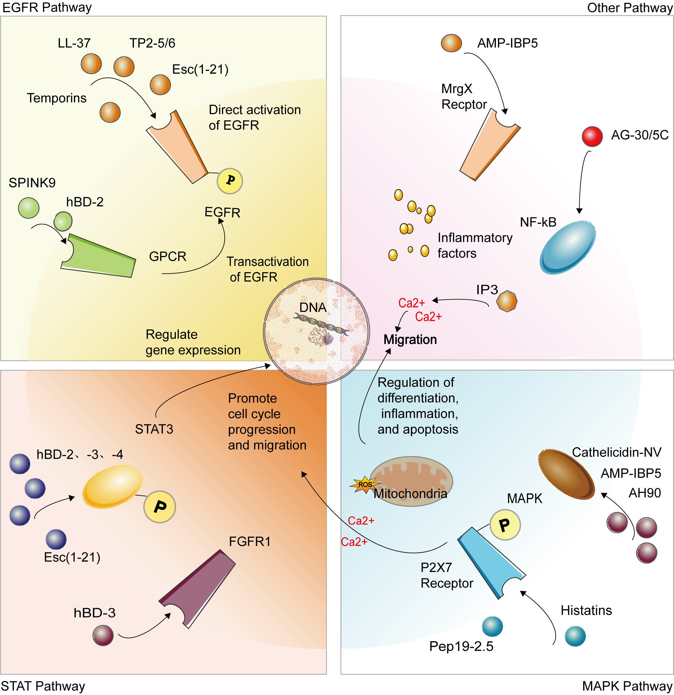 Biomolecules 15 01613 g003