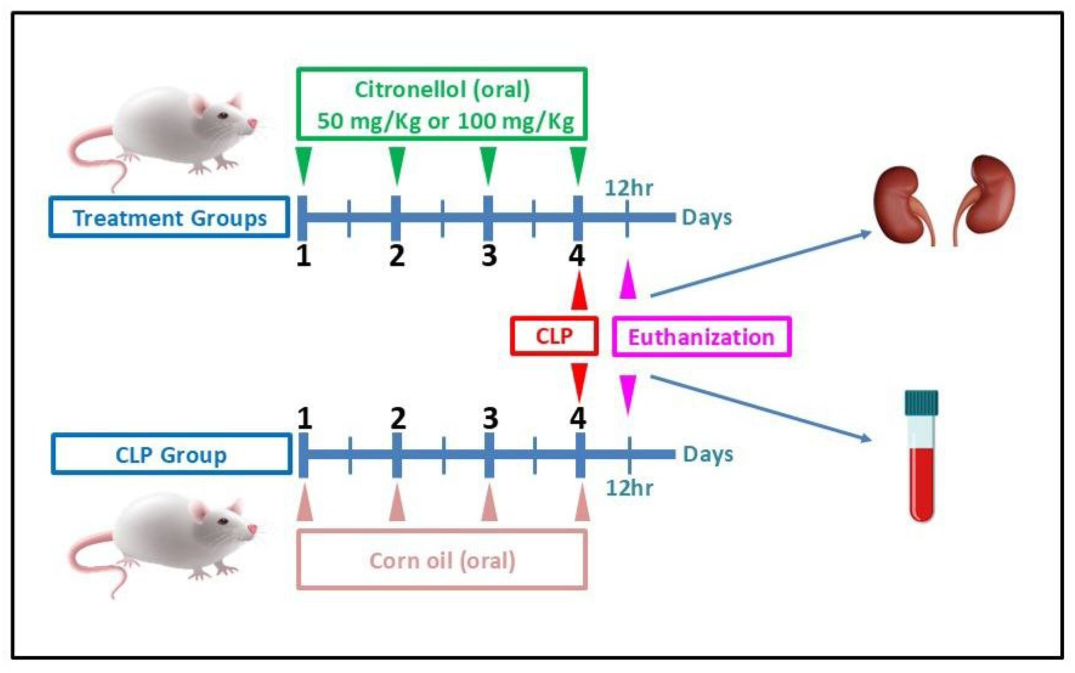 Biomolecules 15 01614 g001 Biomolecules 15 01614 g001