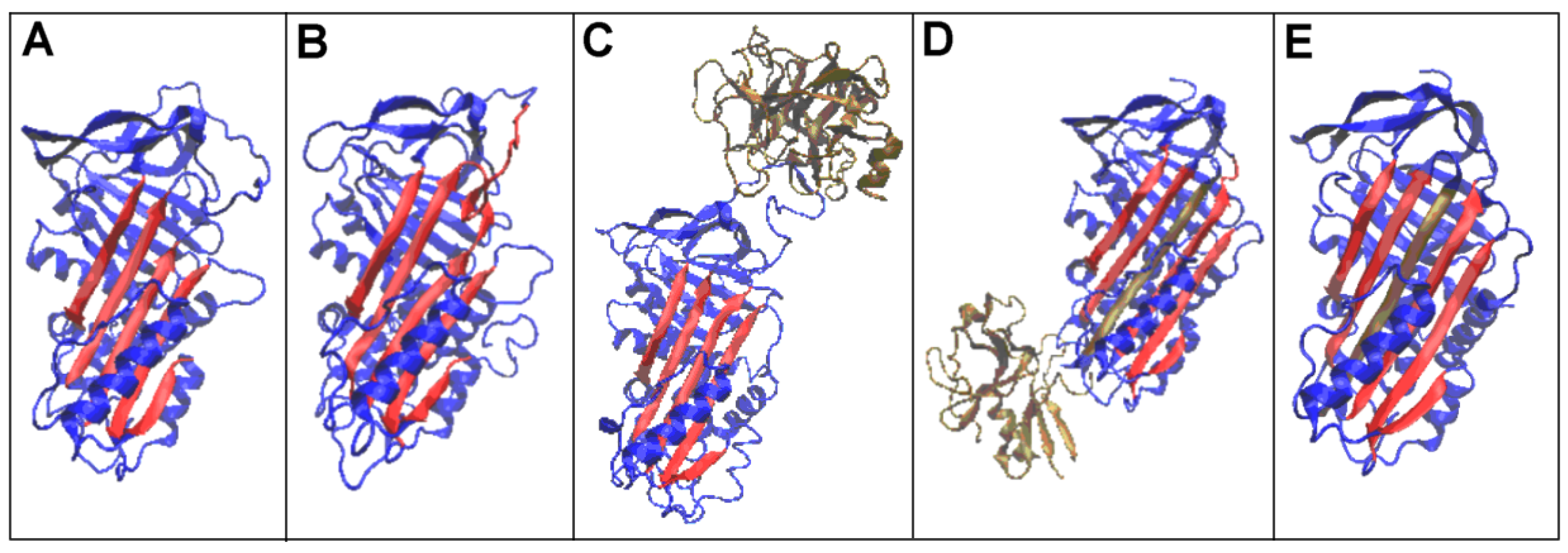 Biomolecules 15 01615 g001