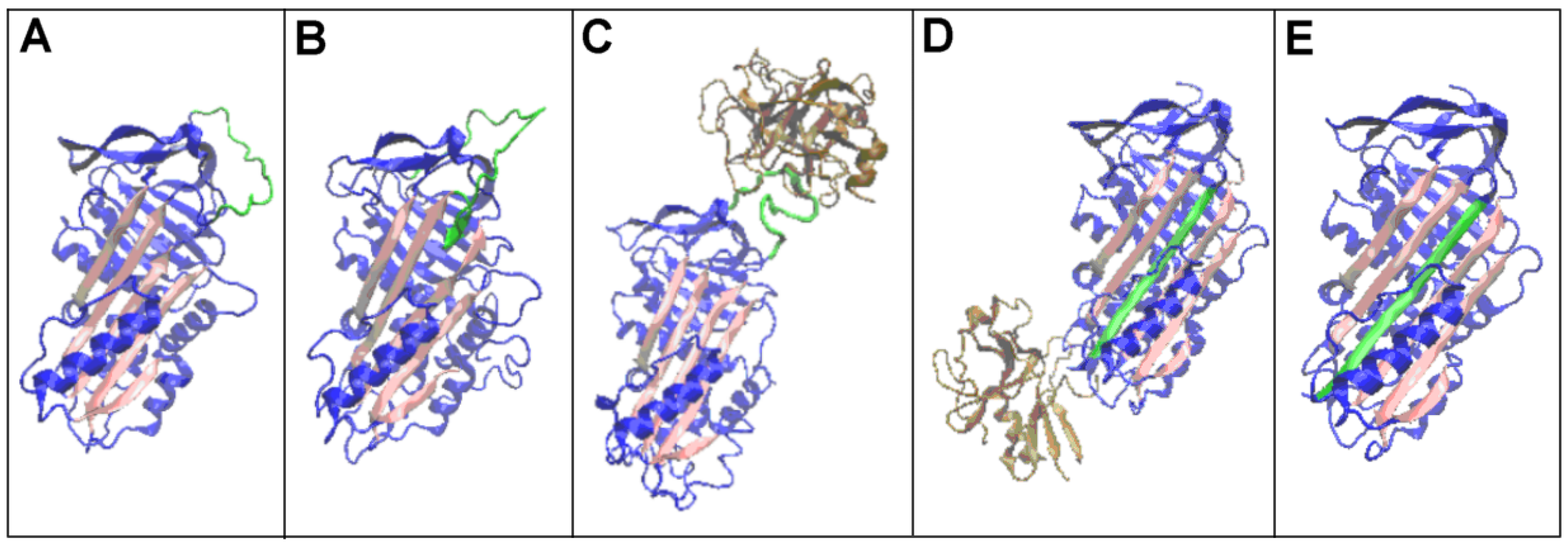 Biomolecules 15 01615 g002