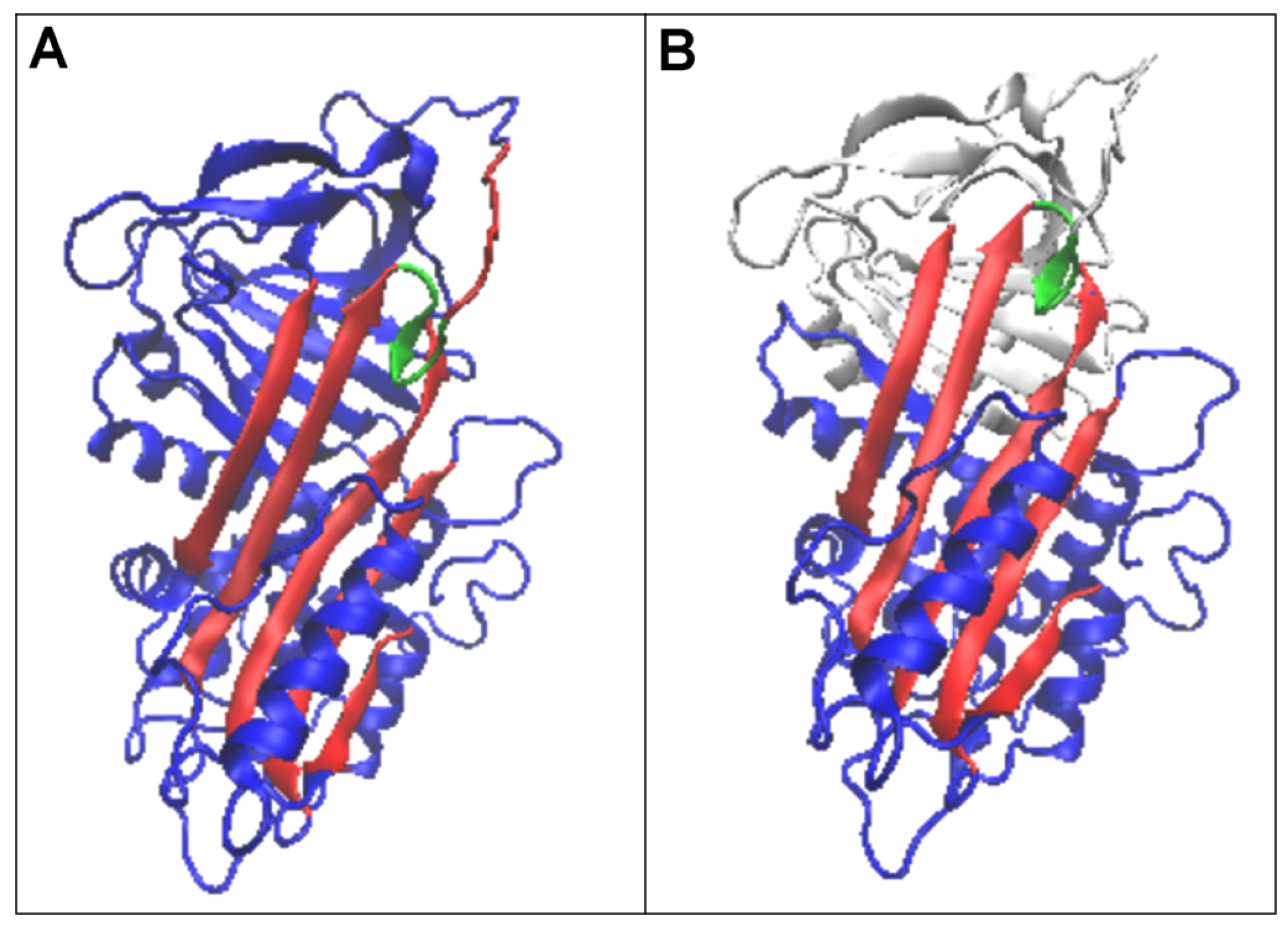 Biomolecules 15 01615 g007