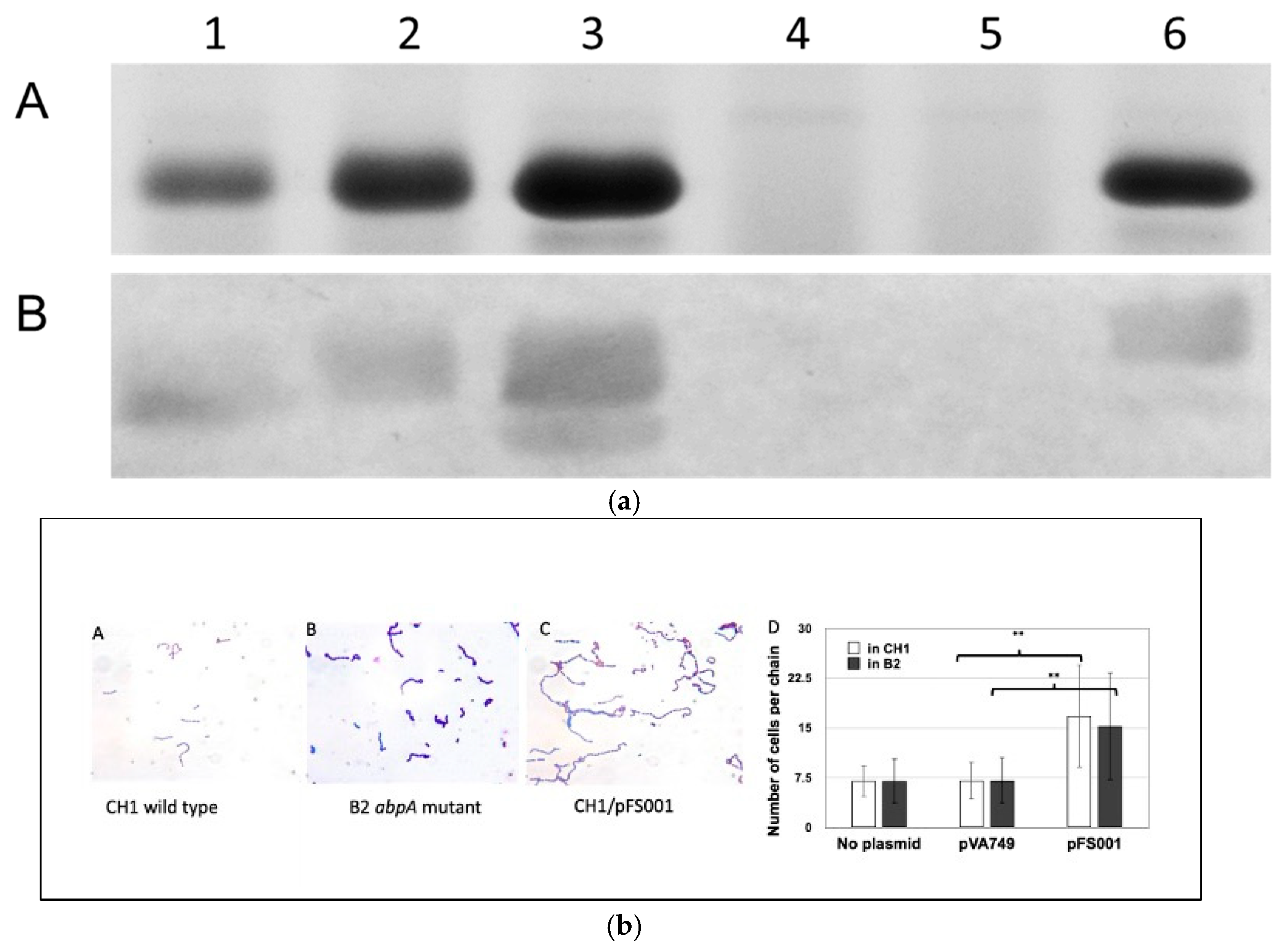 Biomolecules 15 01616 g001