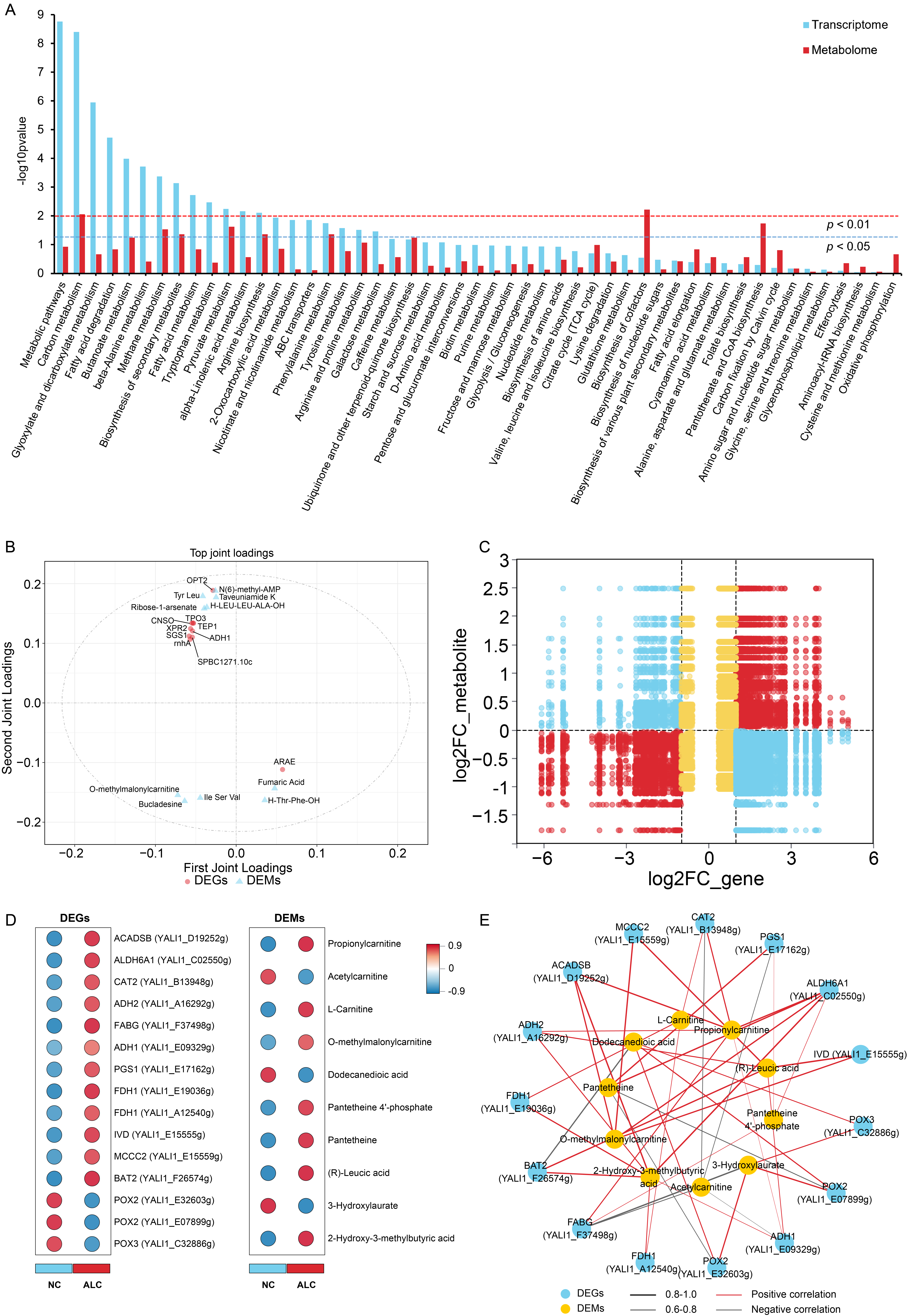 Biomolecules 15 01618 g008