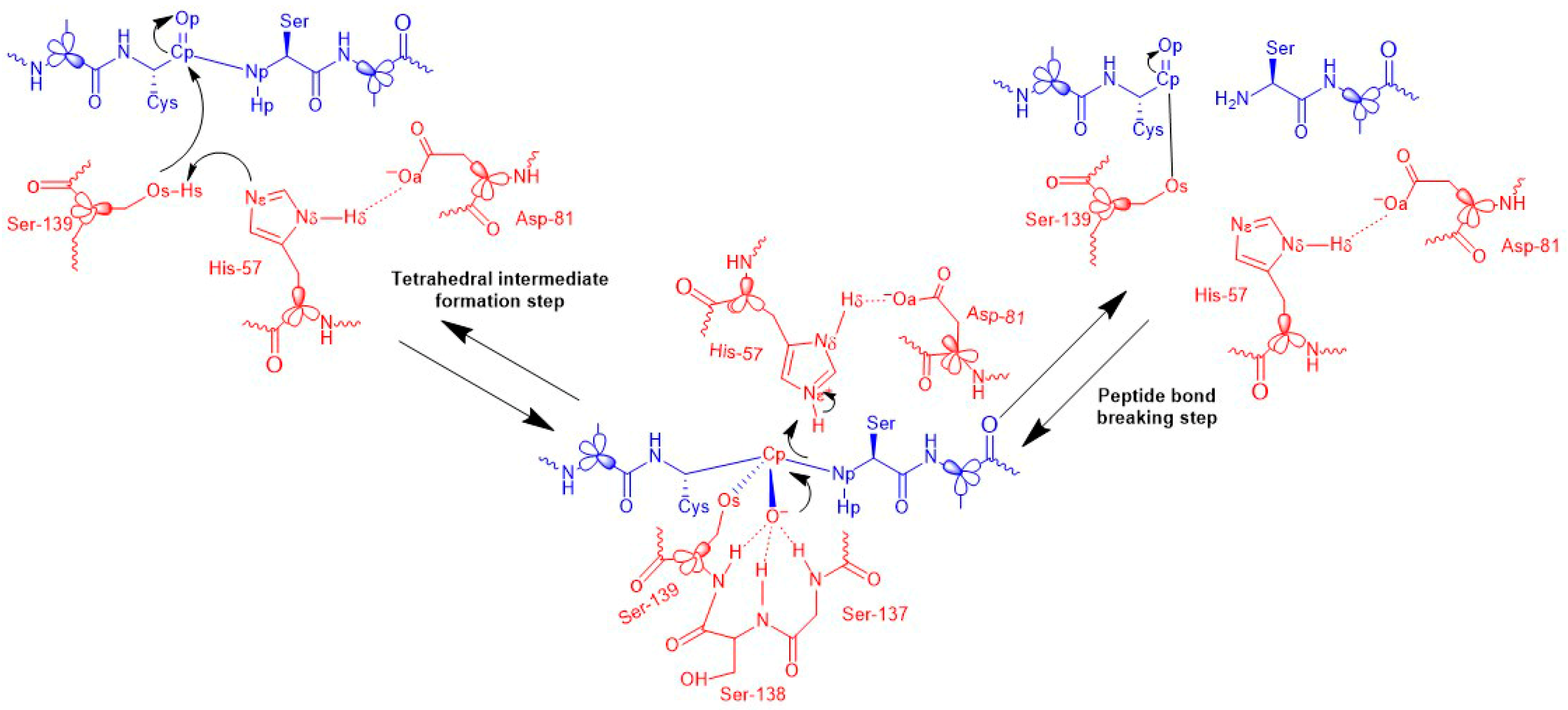 Biomolecules 15 01619 g001