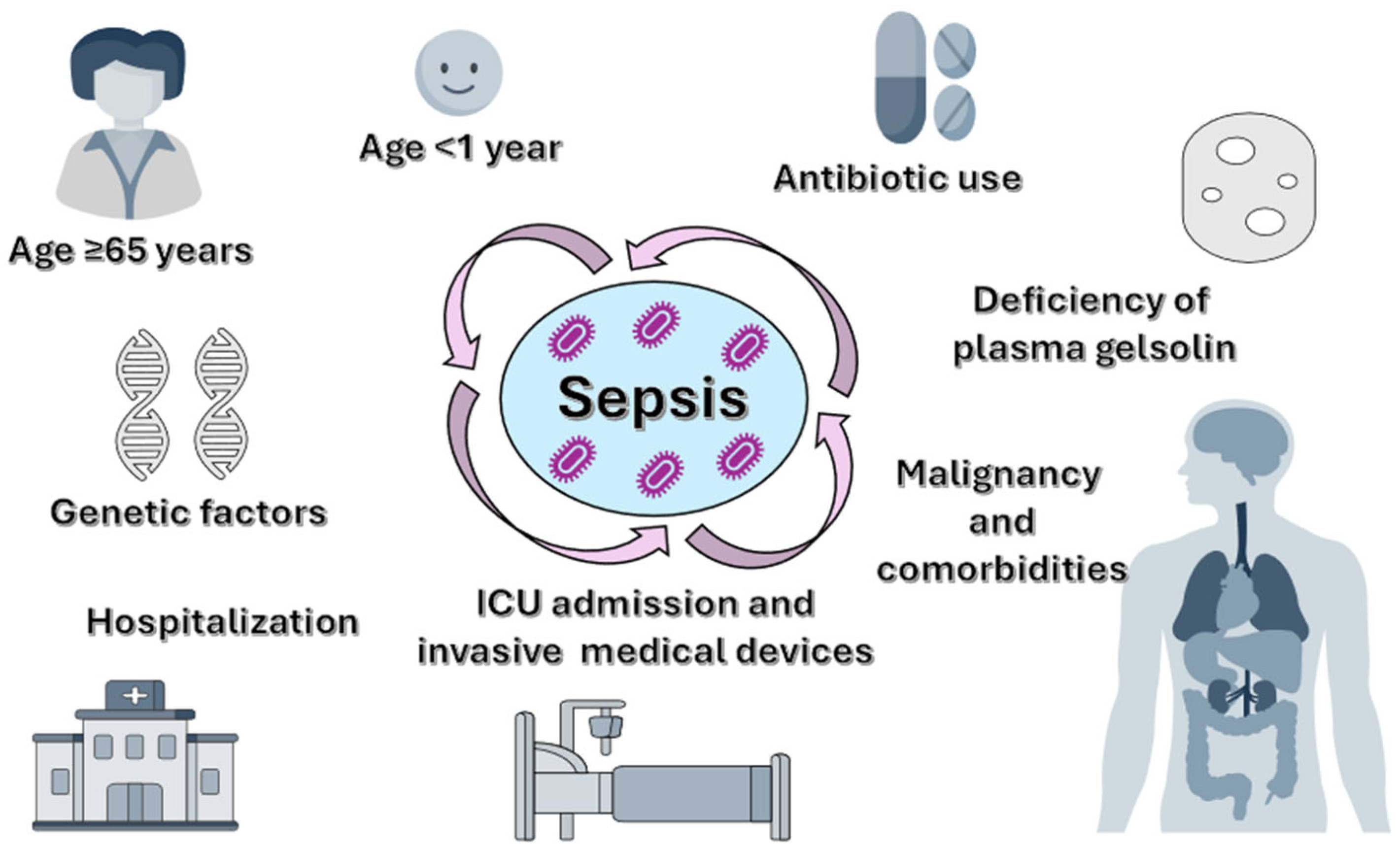 Biomolecules 15 01621 g001