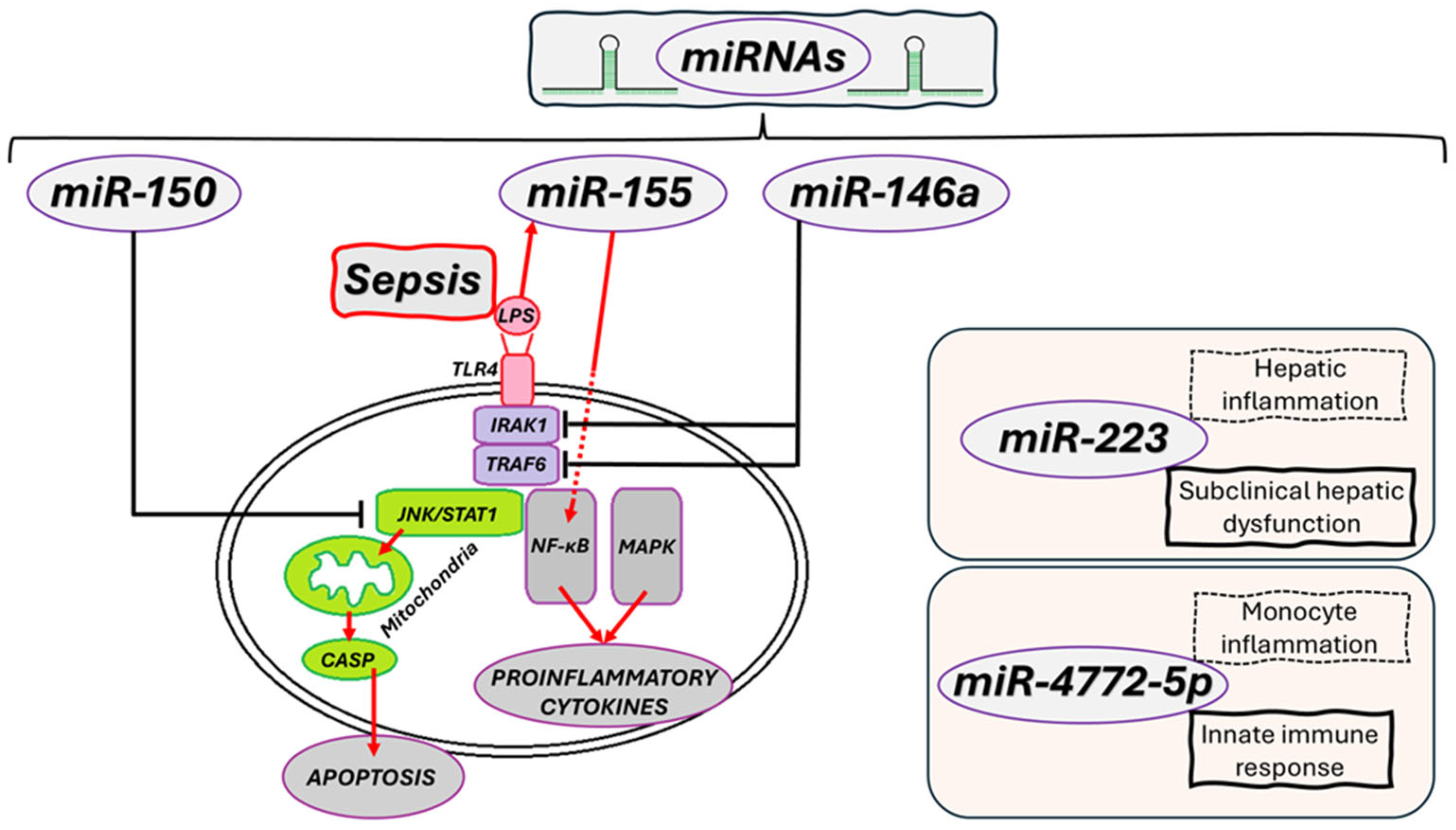 Biomolecules 15 01621 g003
