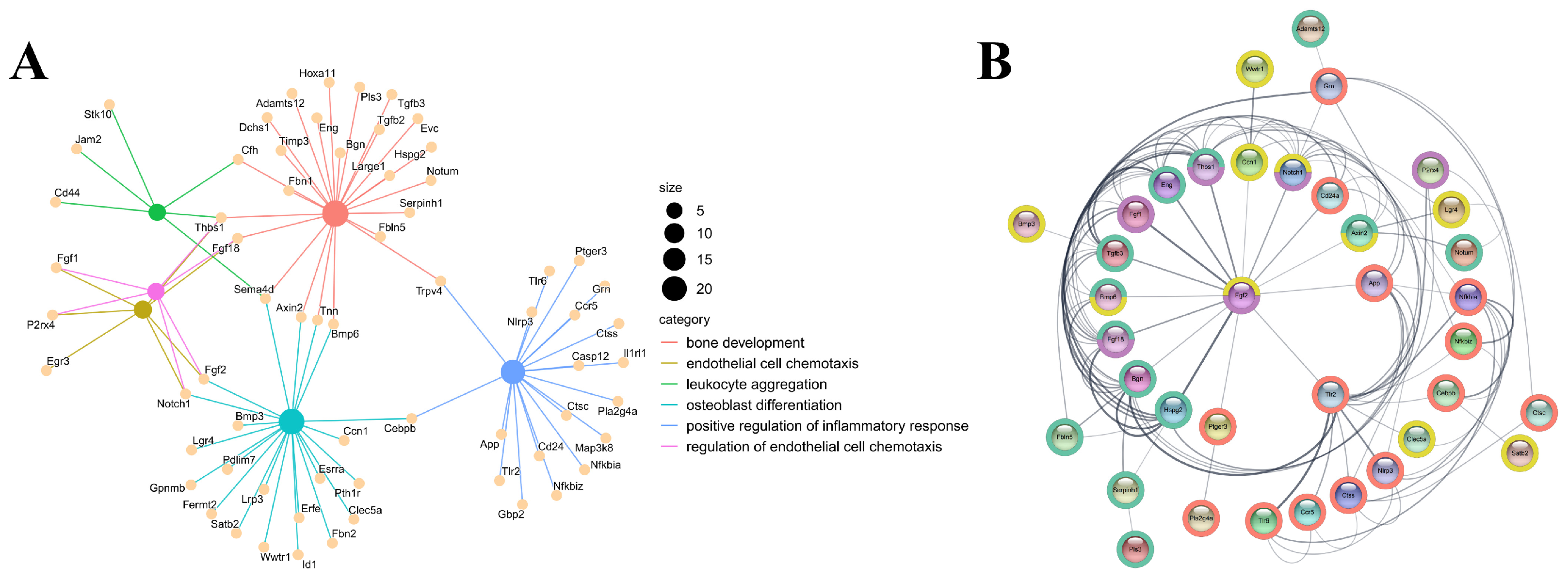 Biomolecules 15 01623 g007