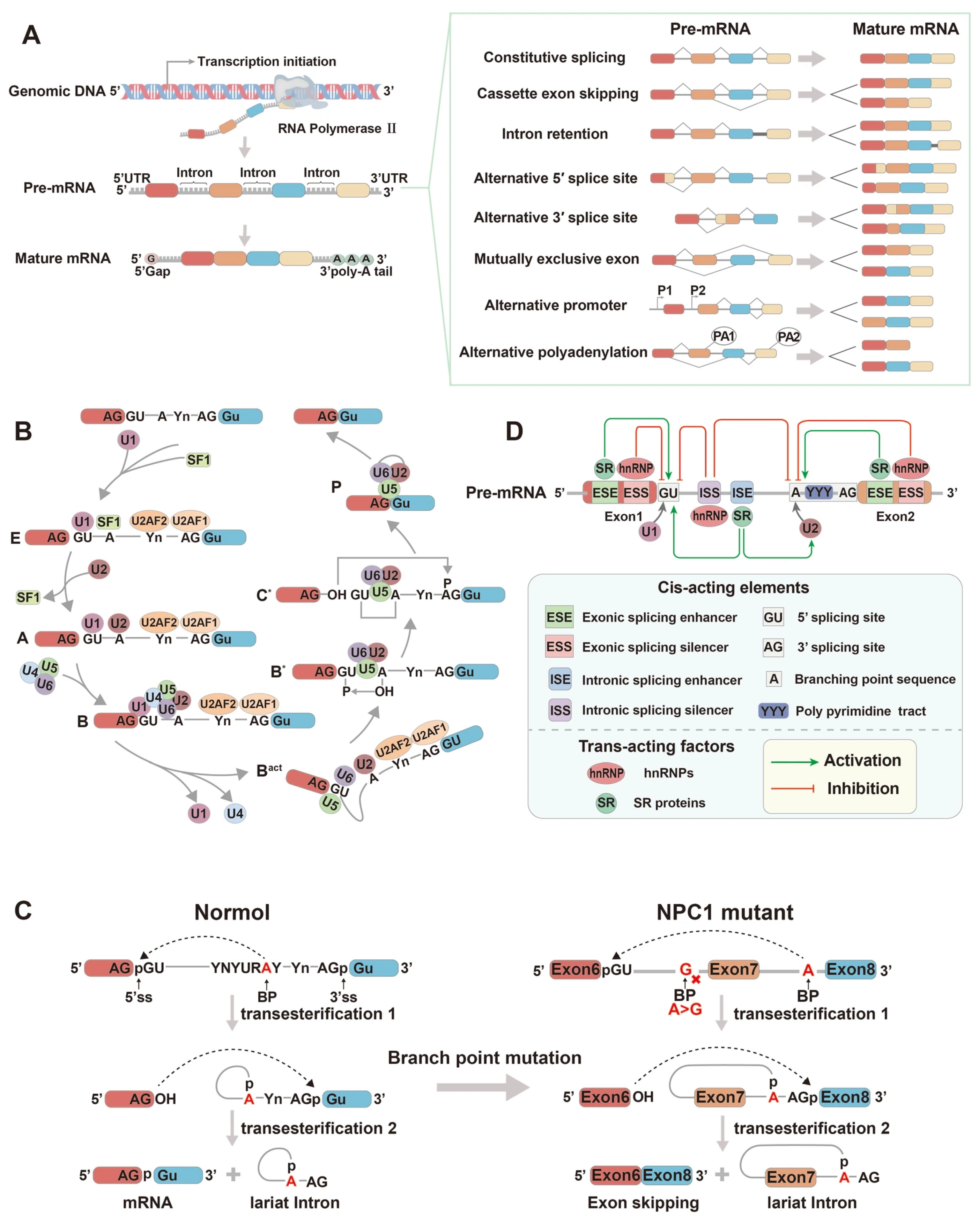 Biomolecules 15 01624 g002