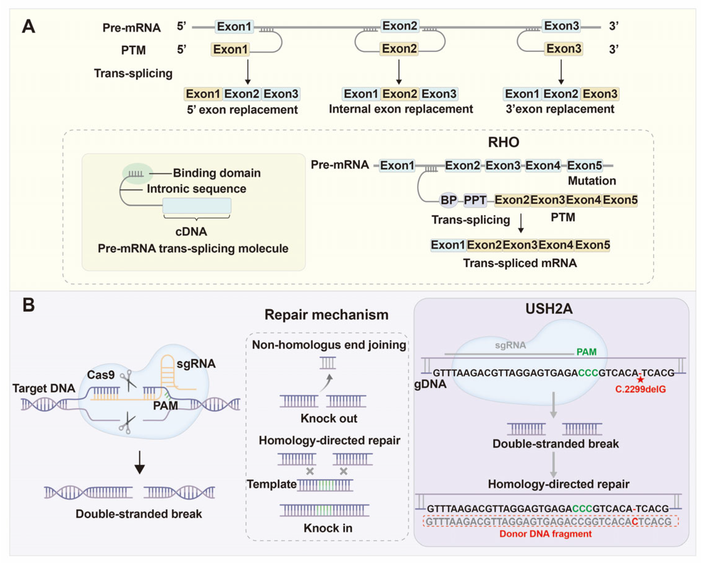 Biomolecules 15 01624 g006