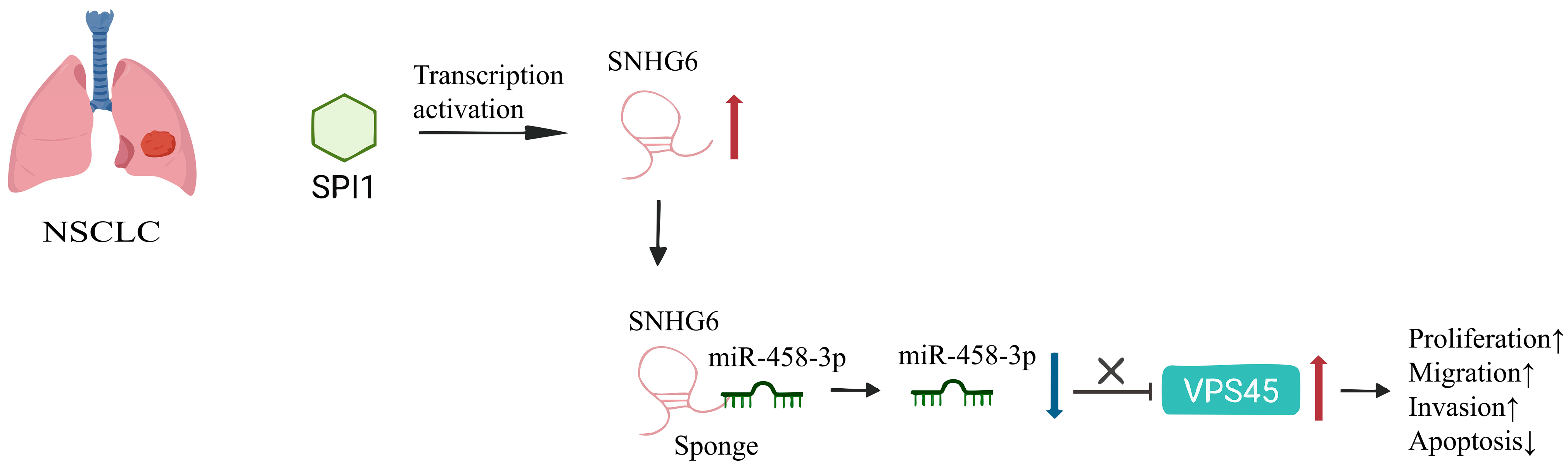 Biomolecules 15 01625 g001