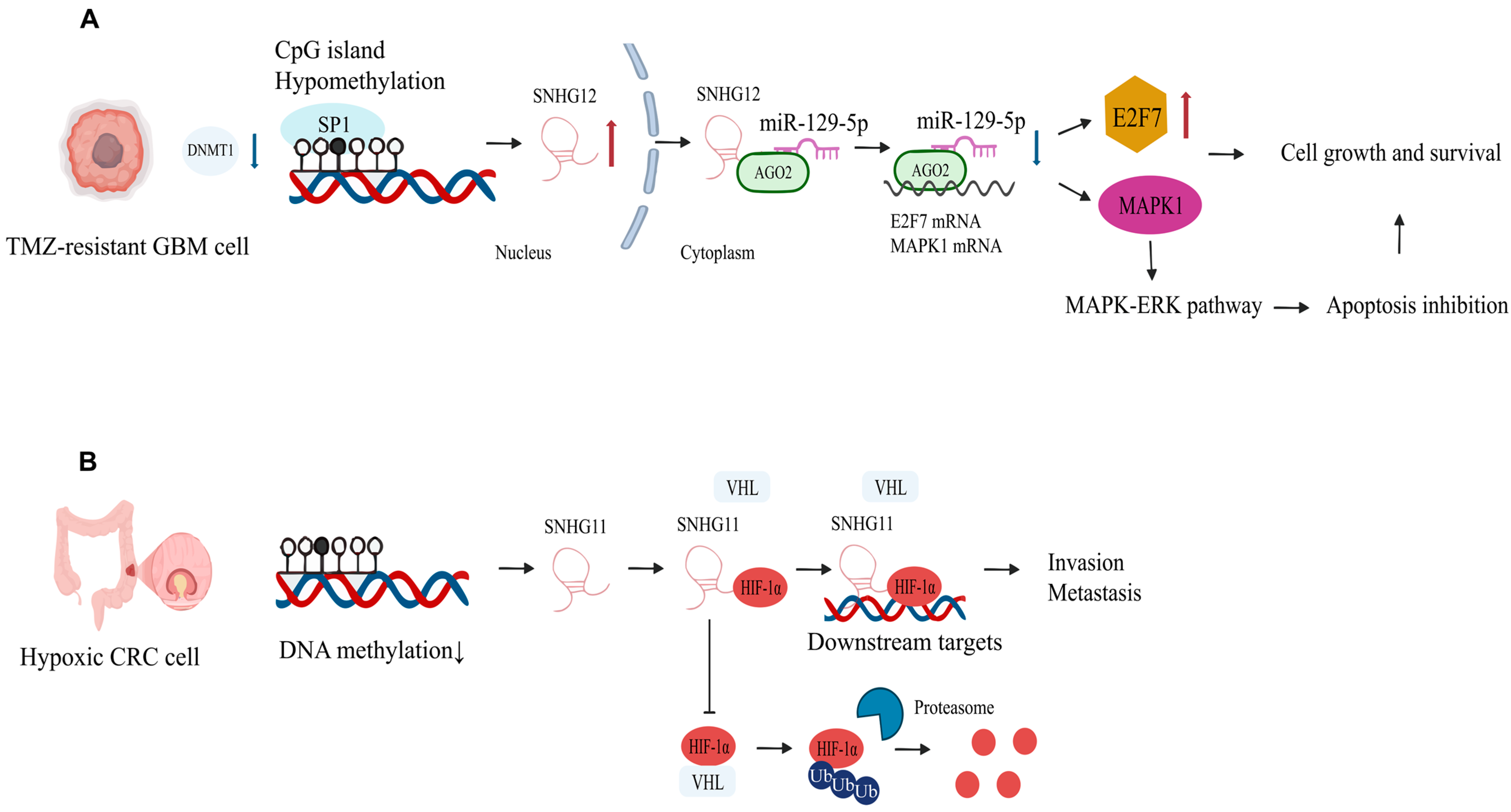 Biomolecules 15 01625 g002